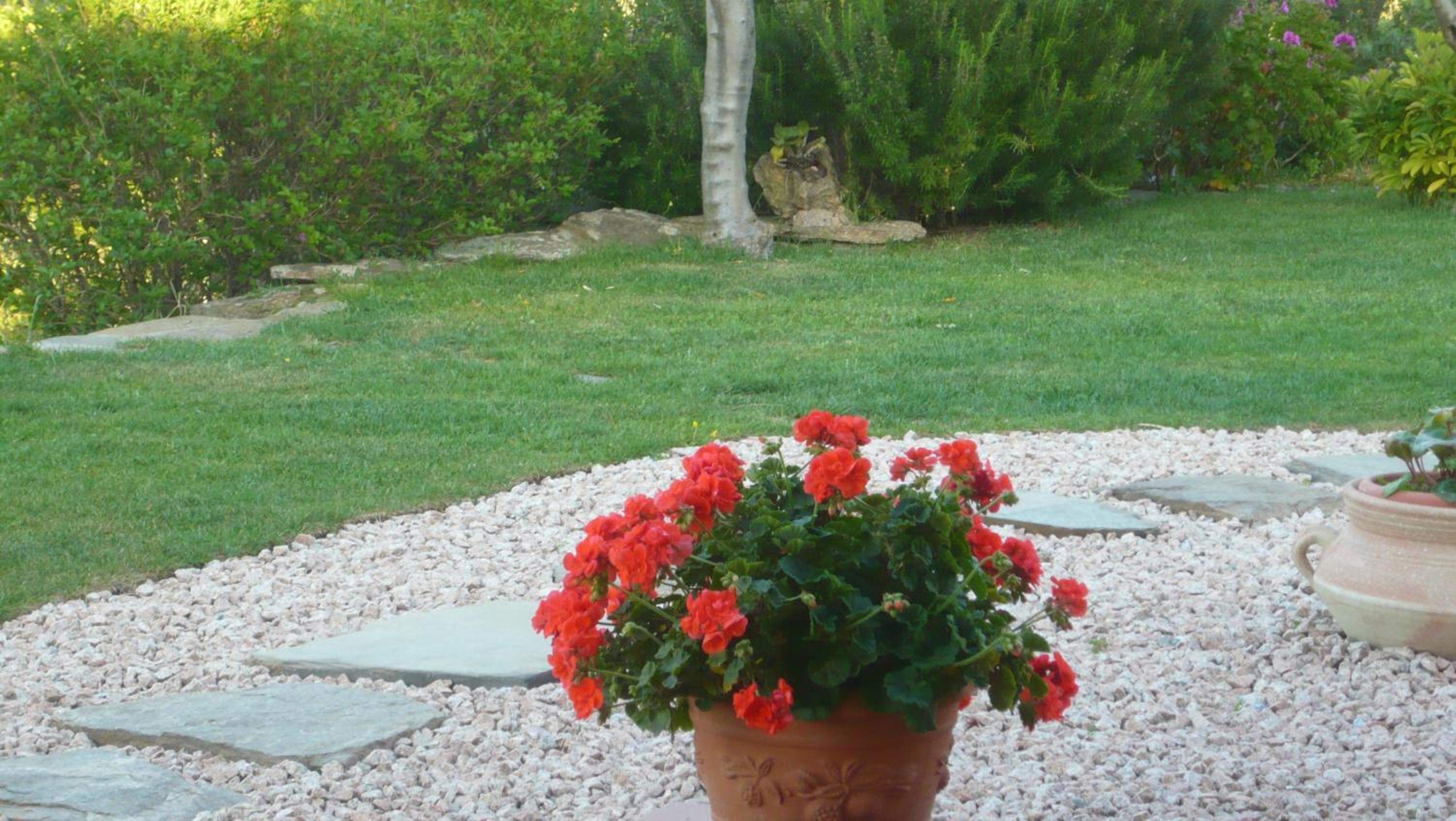 Photo 51