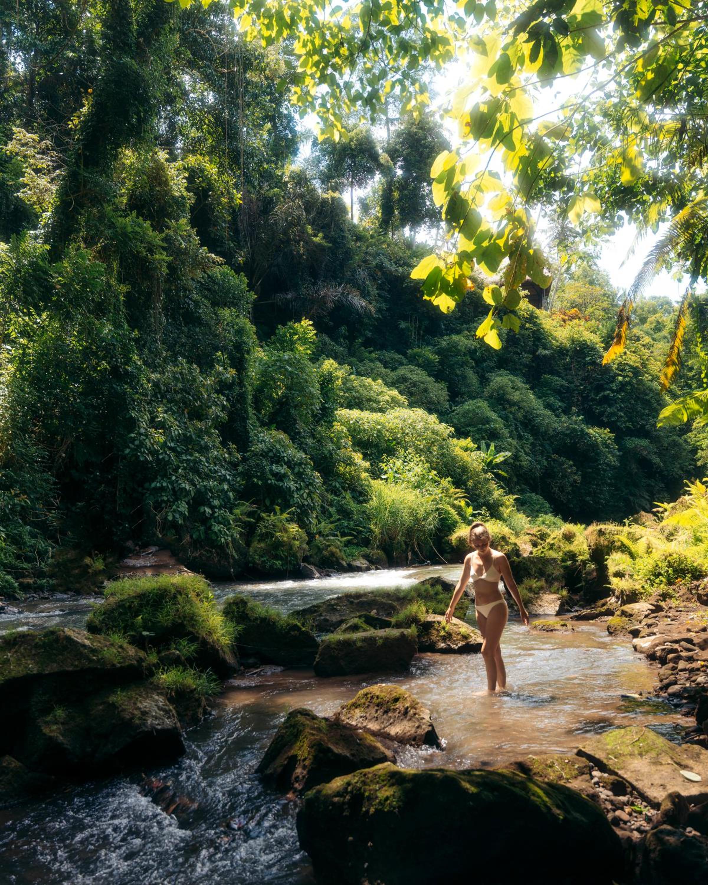 Tresna Bali Luxury Cabins Ubud