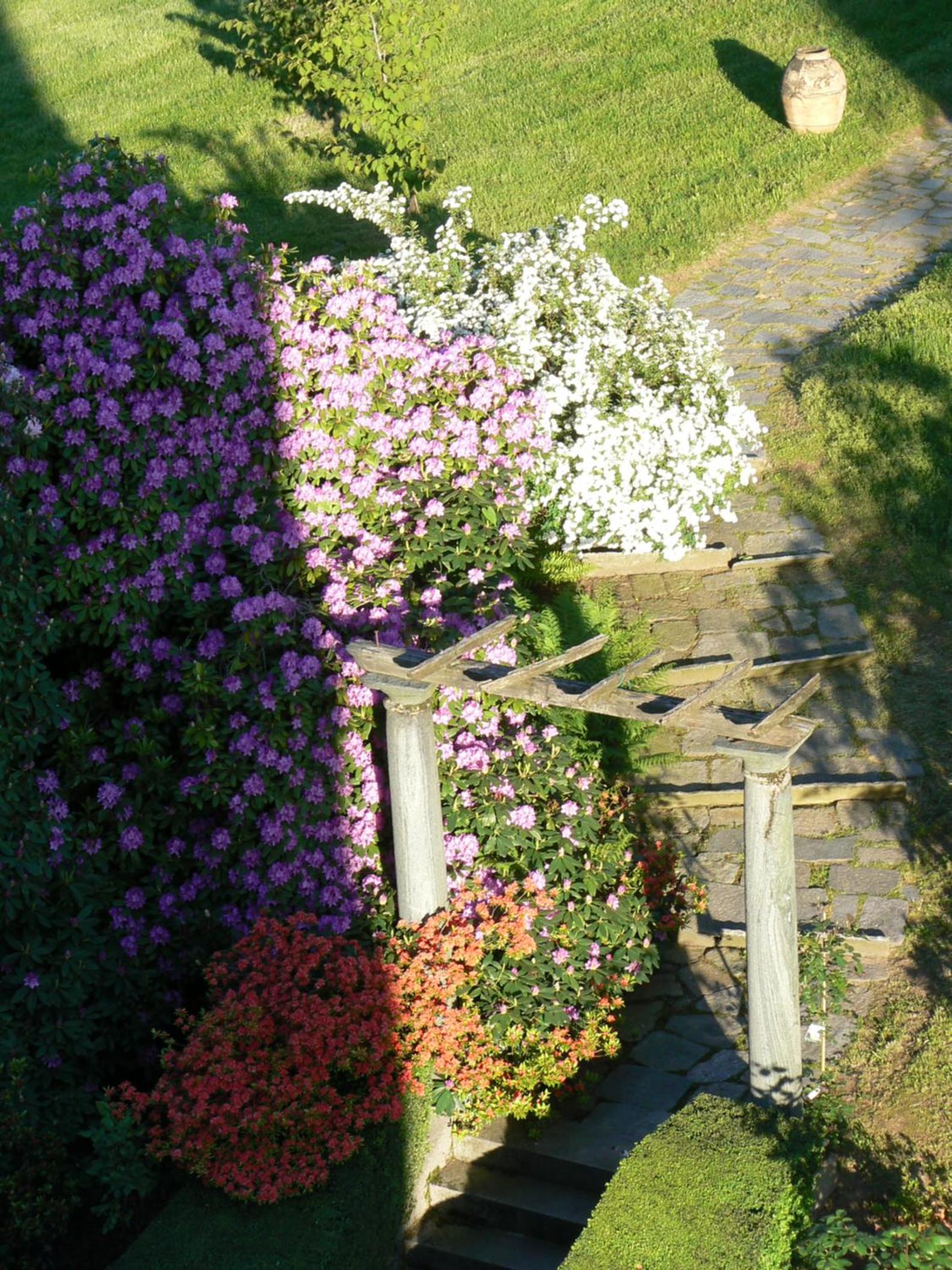 B&B Villa Cernigliaro Dimora Storica