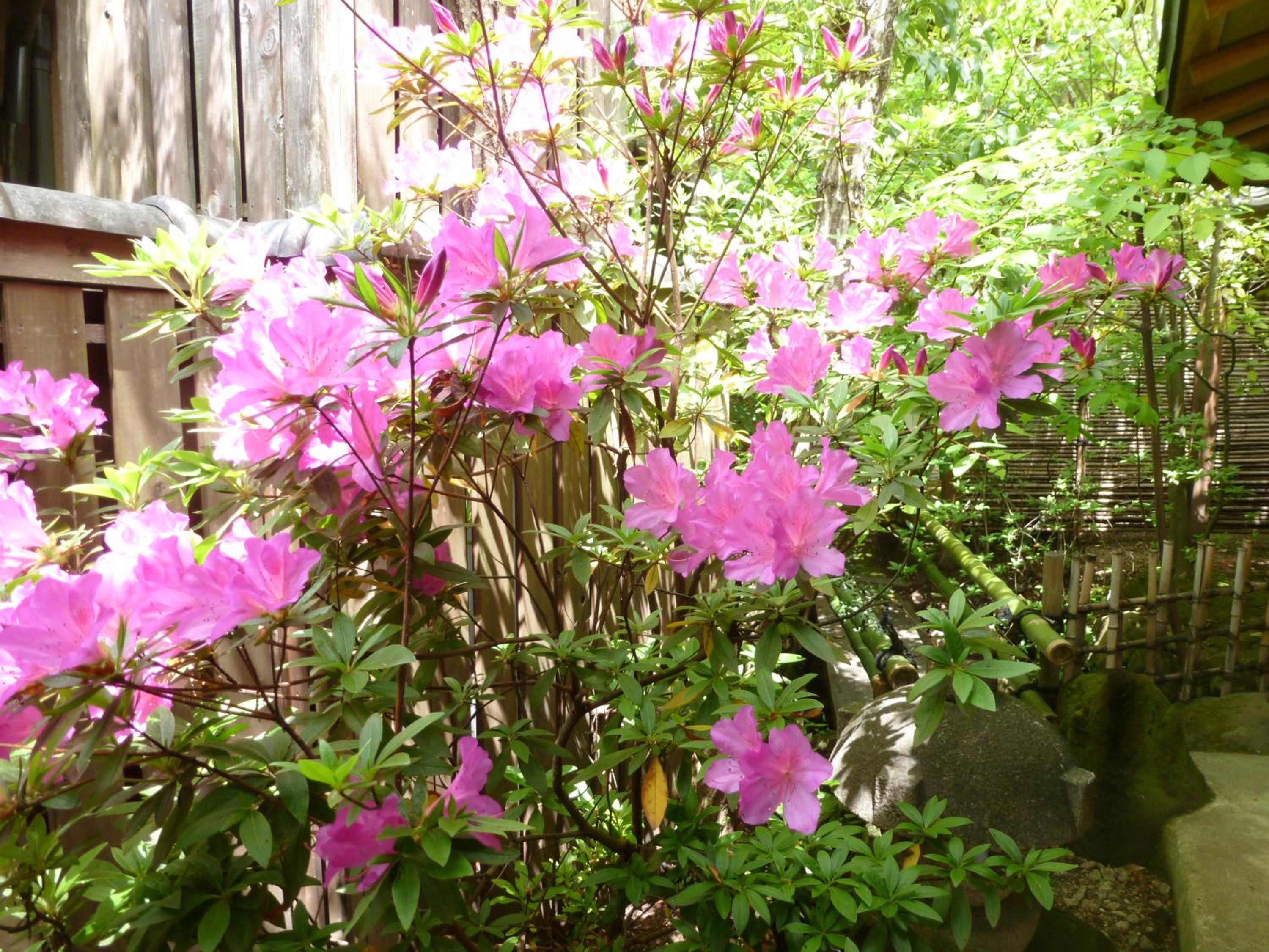 Kutsurogi-no-Yado Nanakawa