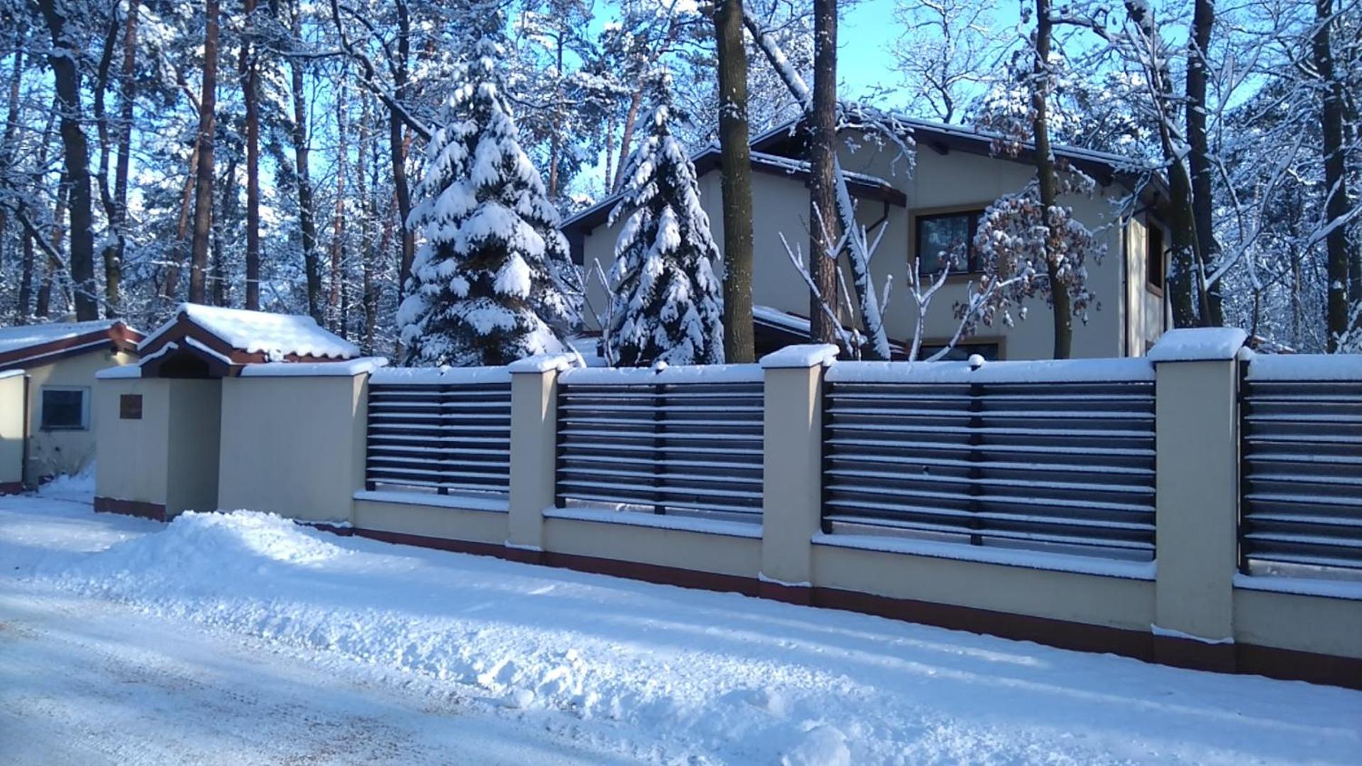 Villa Podkowa view 2