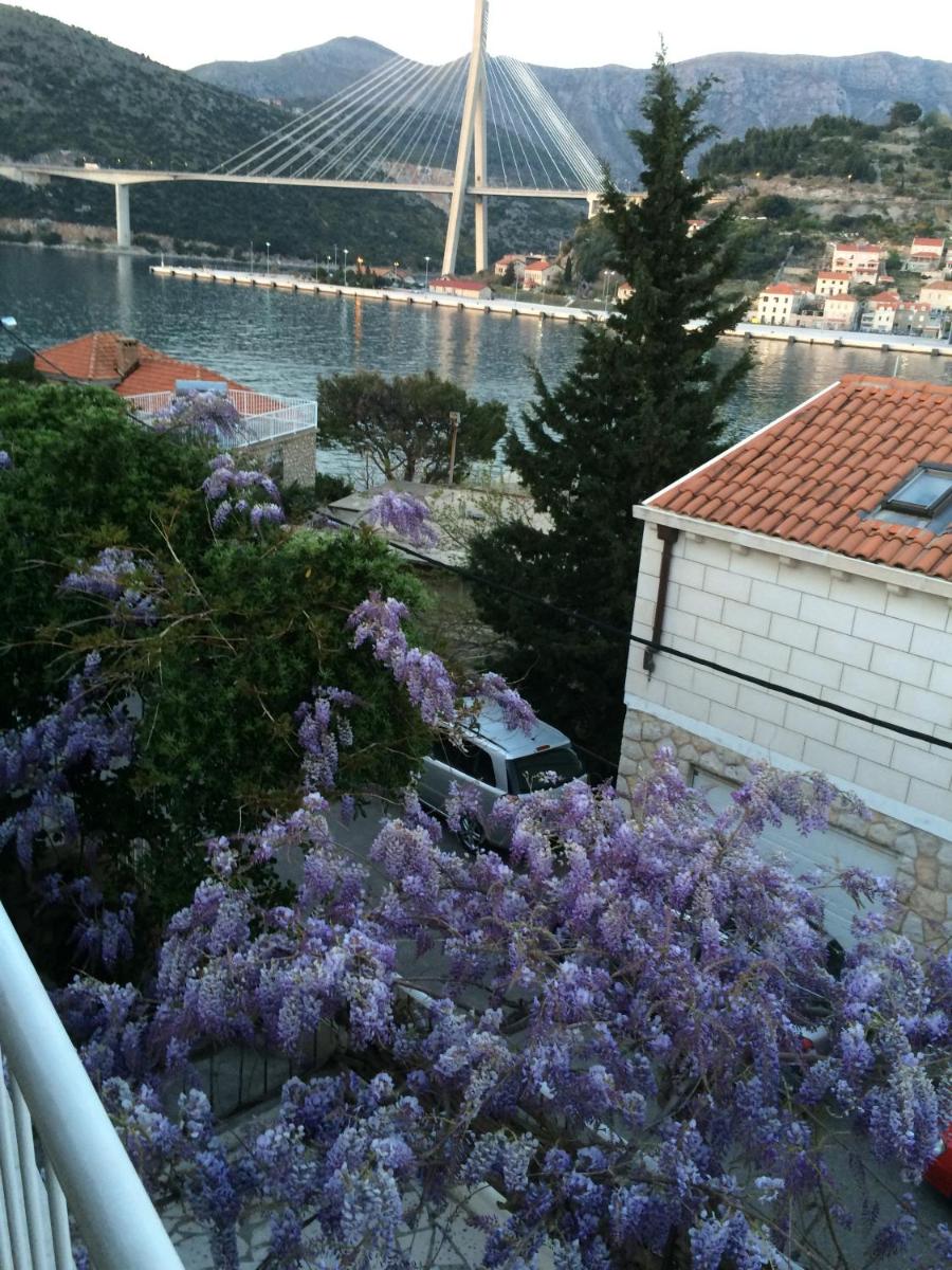 Wisteria Apartment