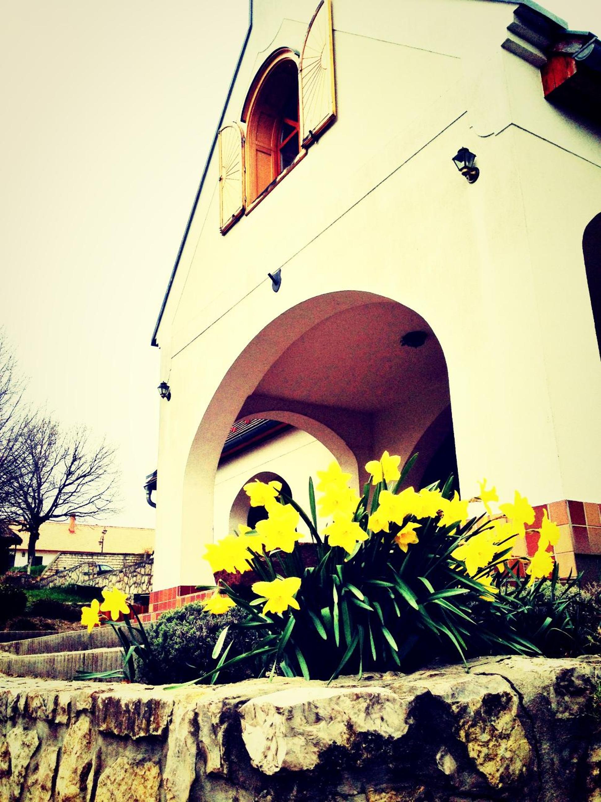 Photo 41