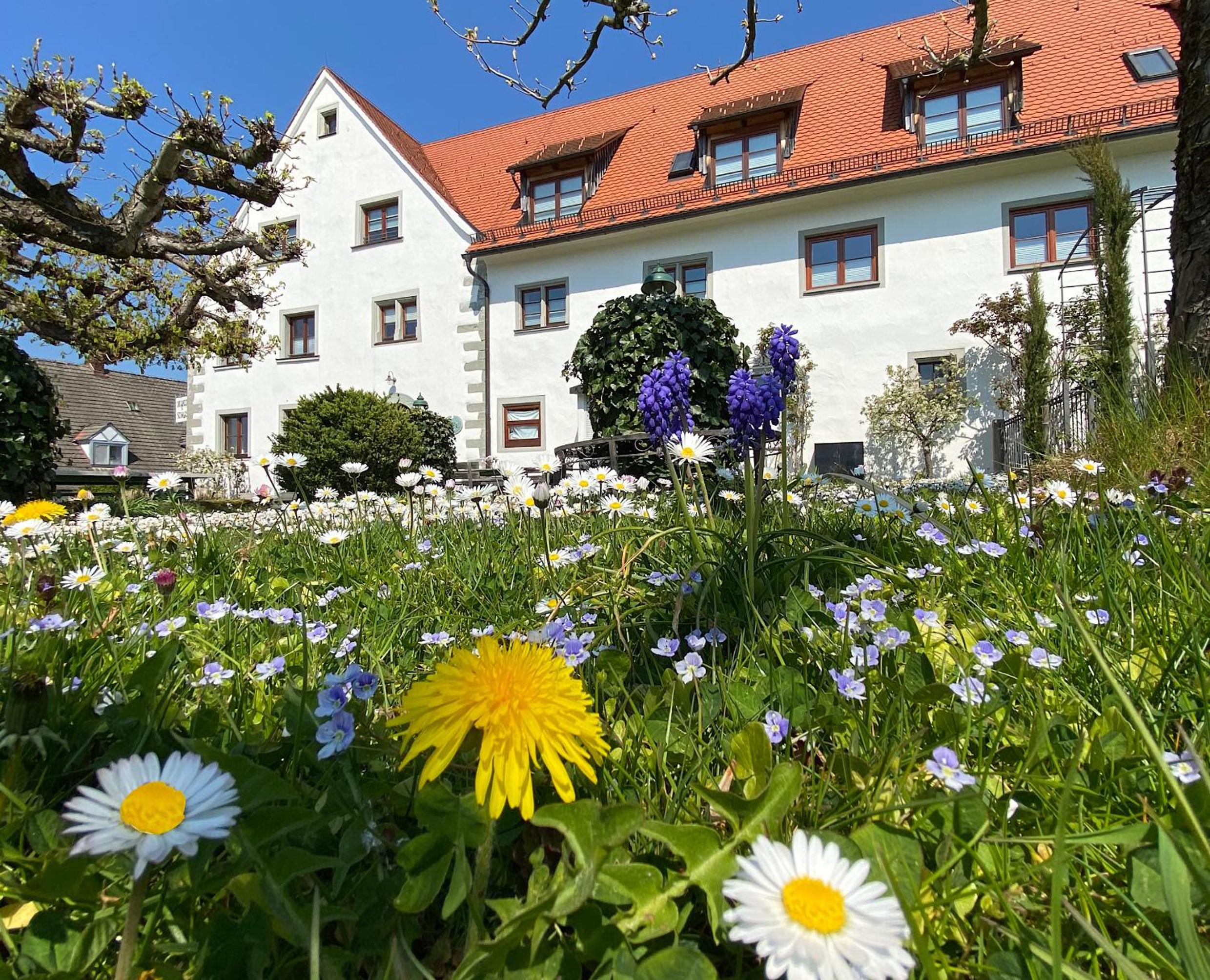 Hotel Montfort-Schlössle, photo 36