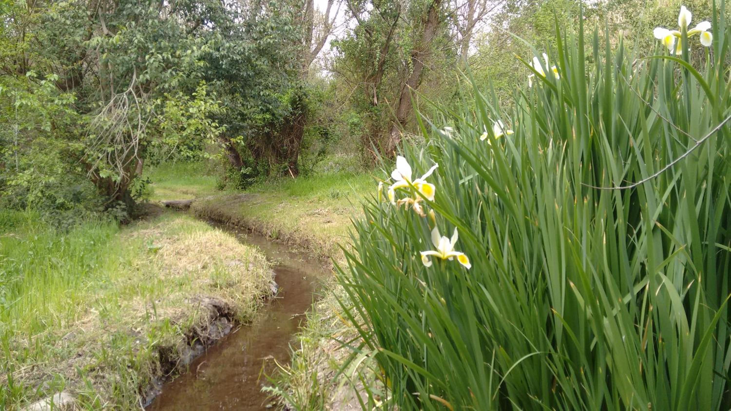 Hostería Rural Monte Bérico
