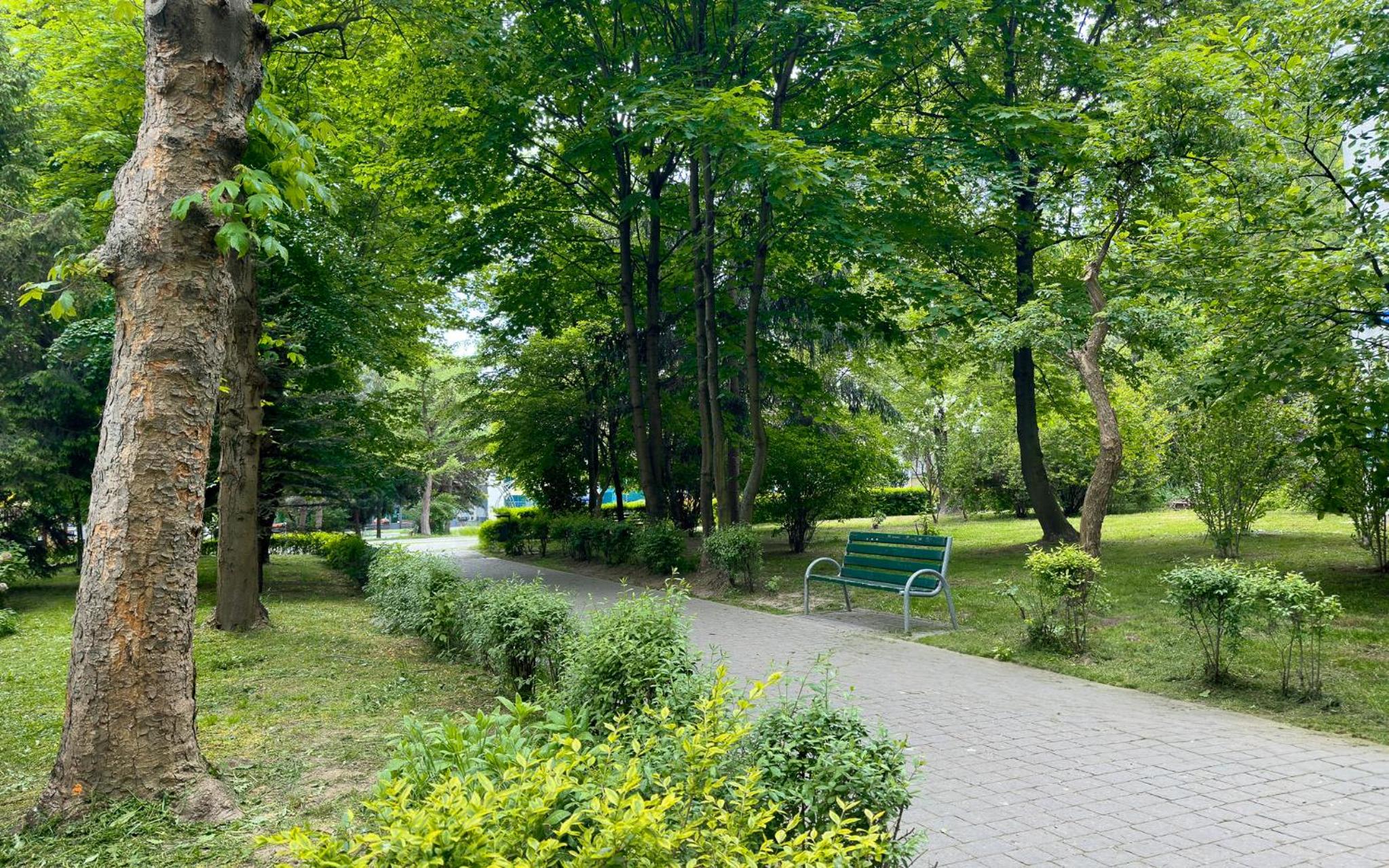 Vista Kraków Ugorek