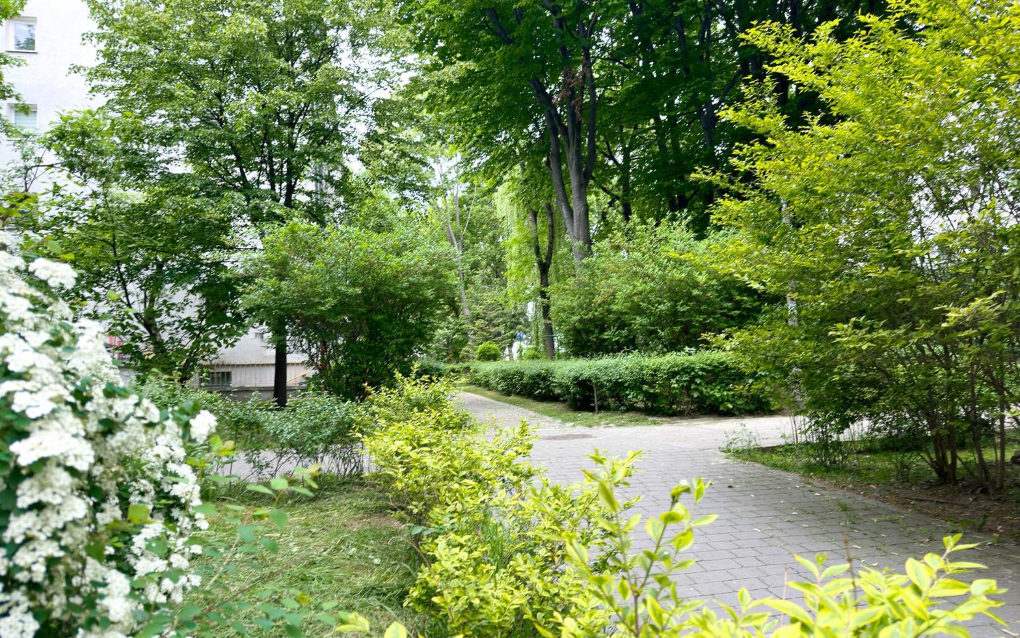 Vista Kraków Ugorek