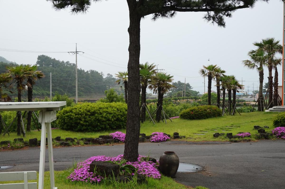 Jeju Feel House