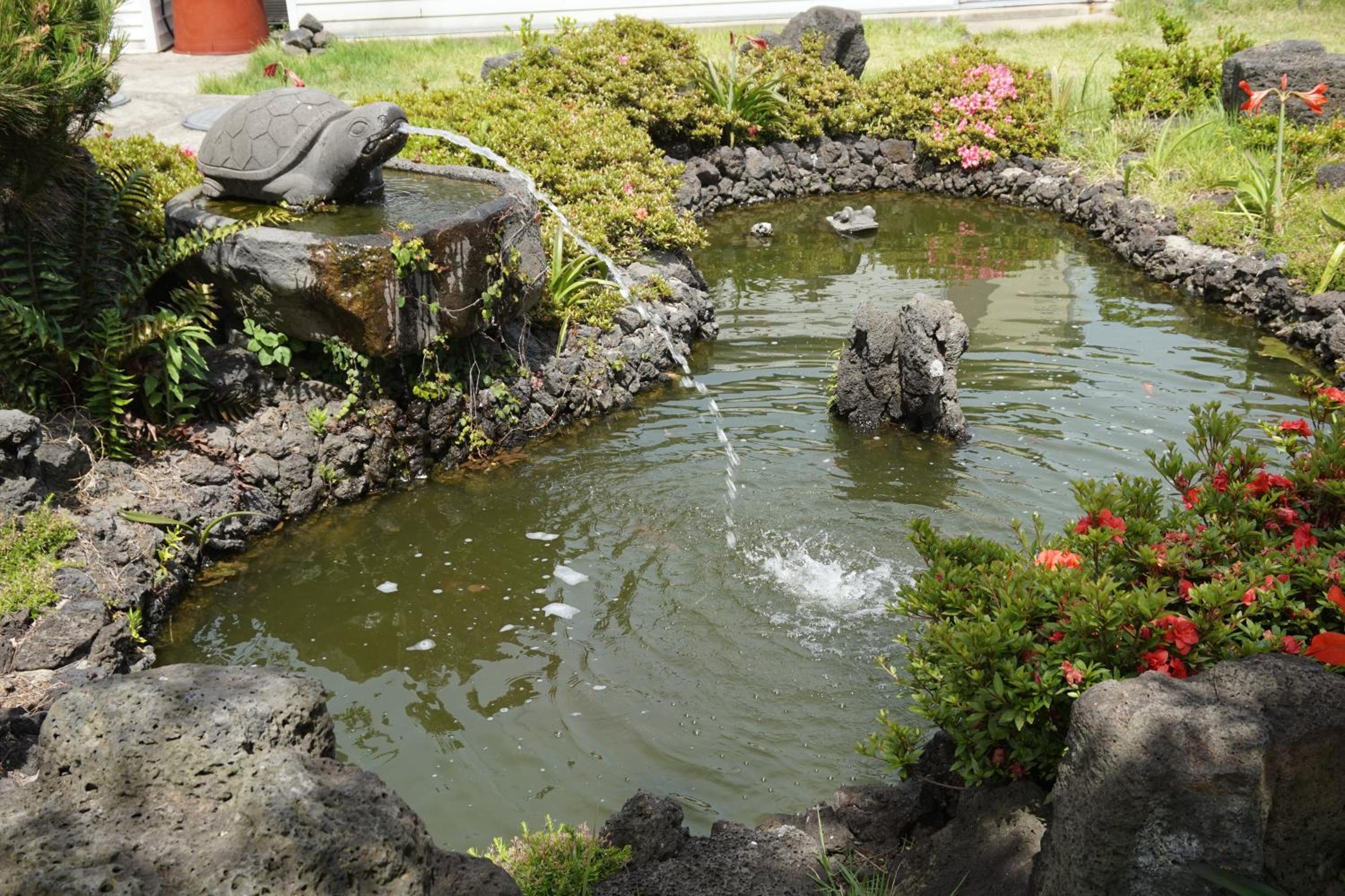 Jeju Feel House
