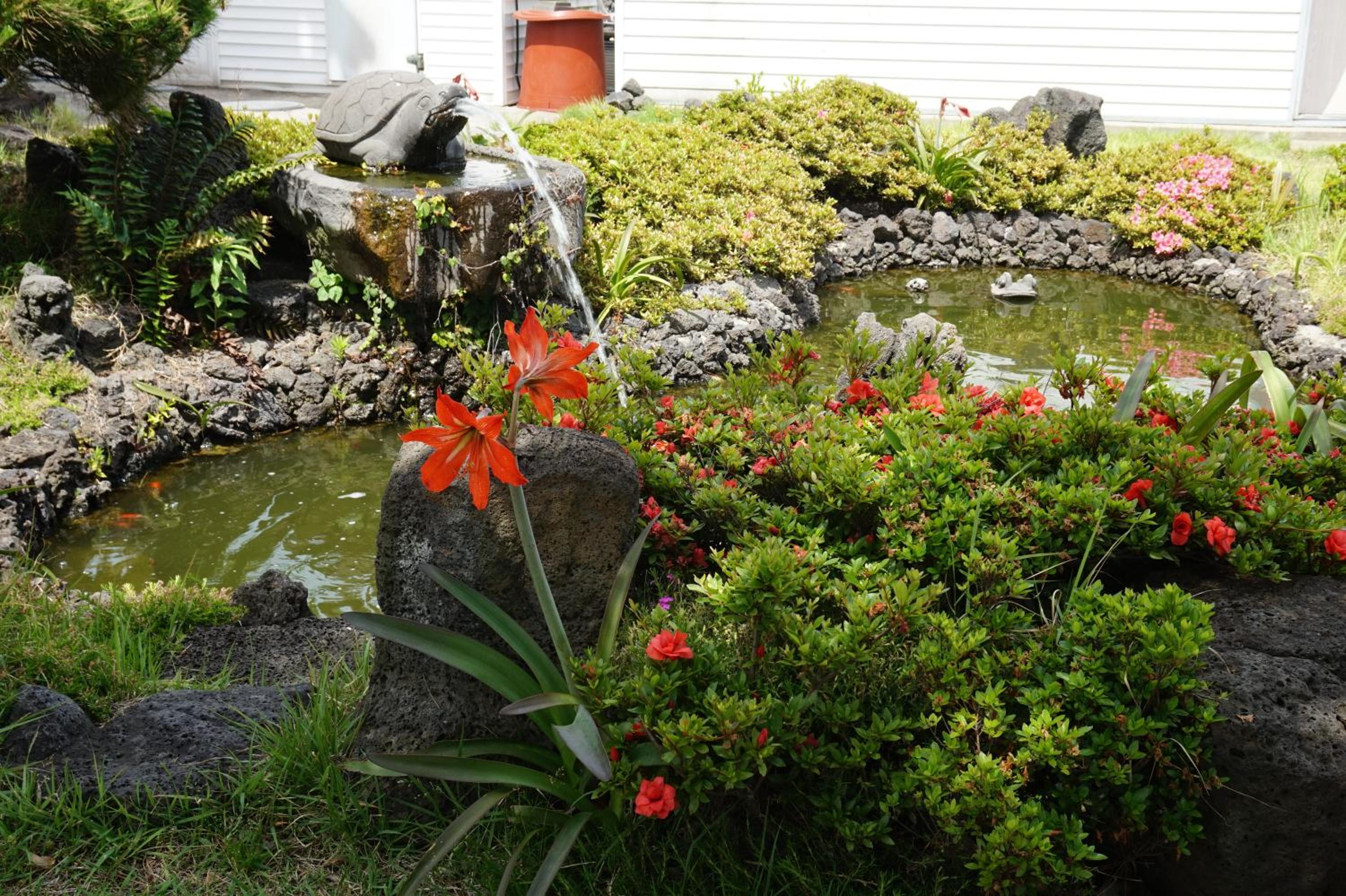 Jeju Feel House