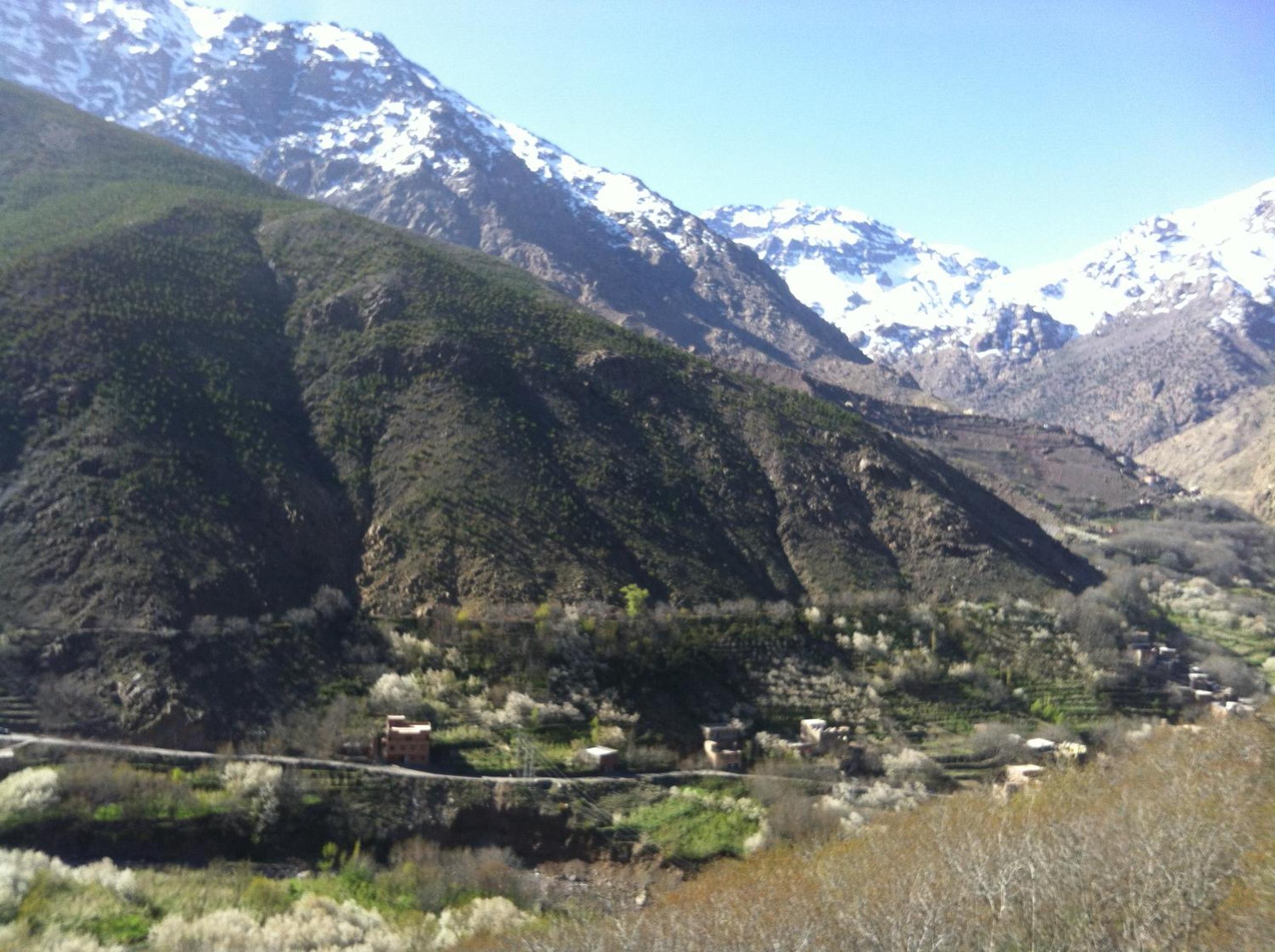 Photo 25