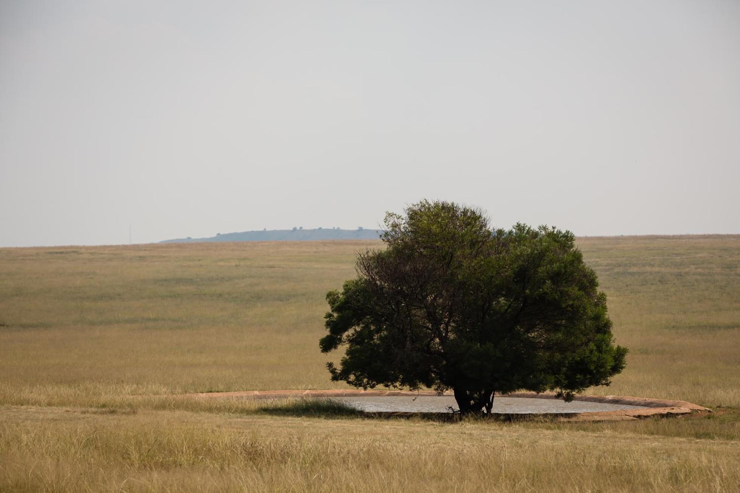 Sibani Lodge