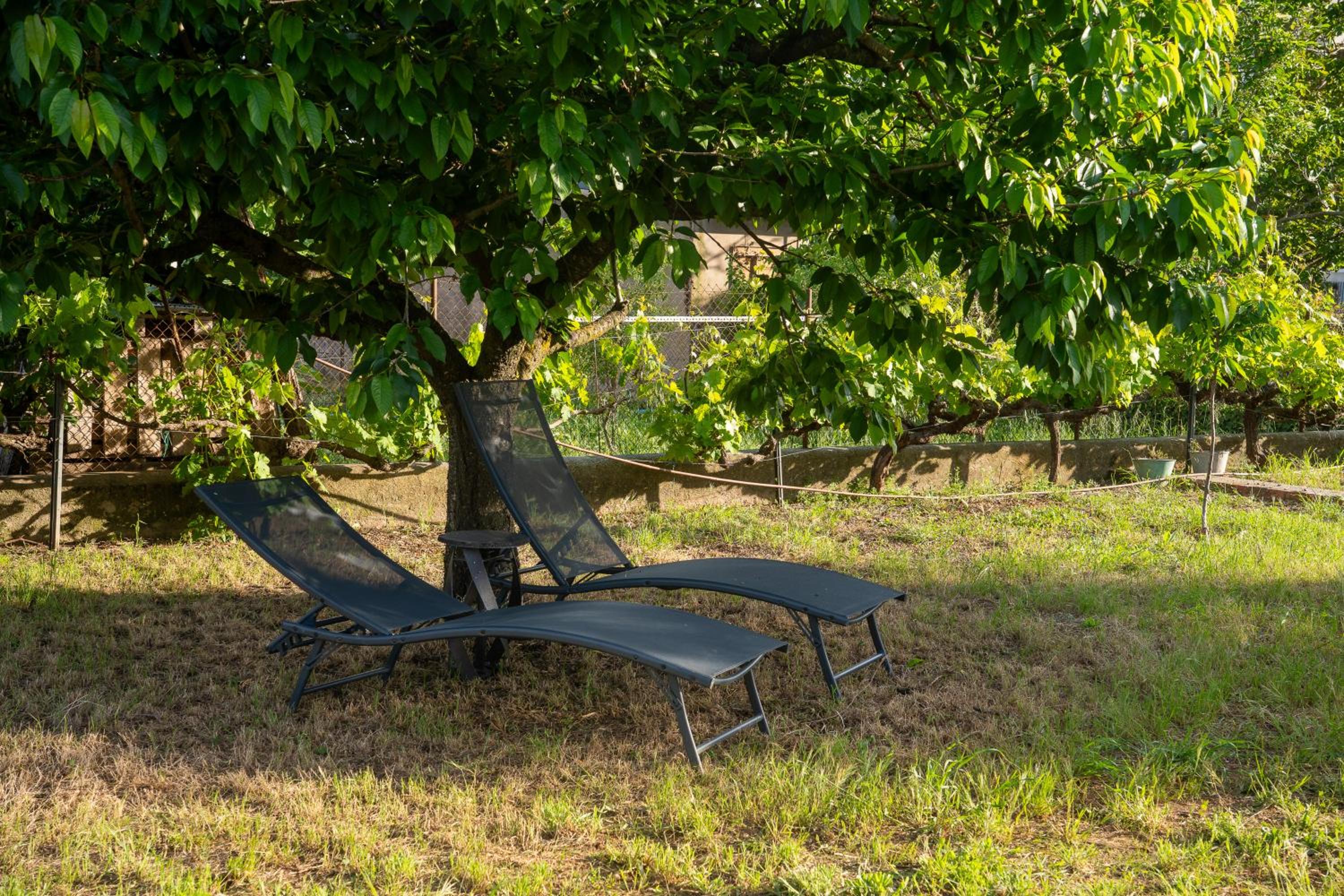 L'Ametller, casa Empordà, jardí, barbacoa, vistes