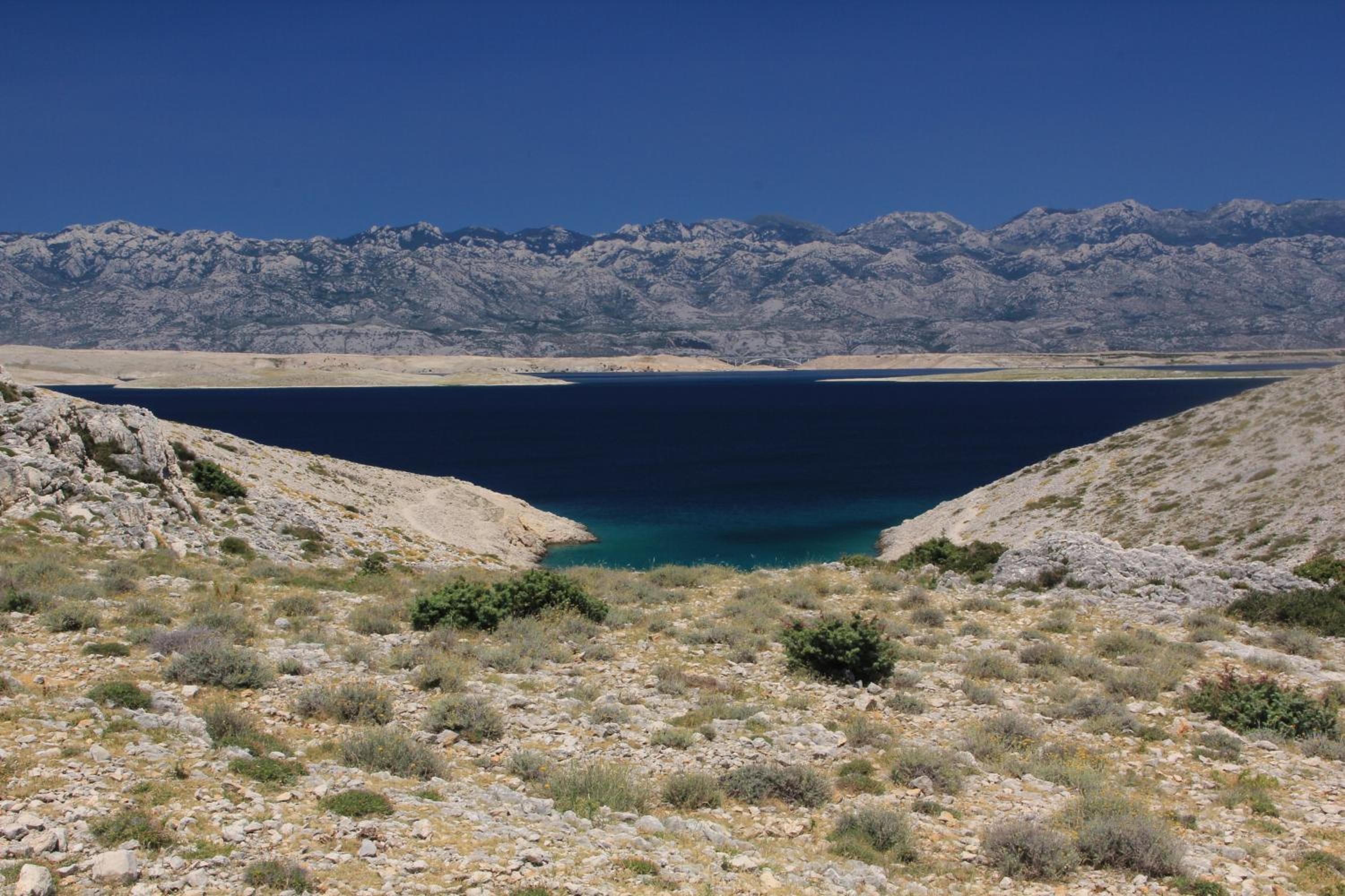 Photo 42