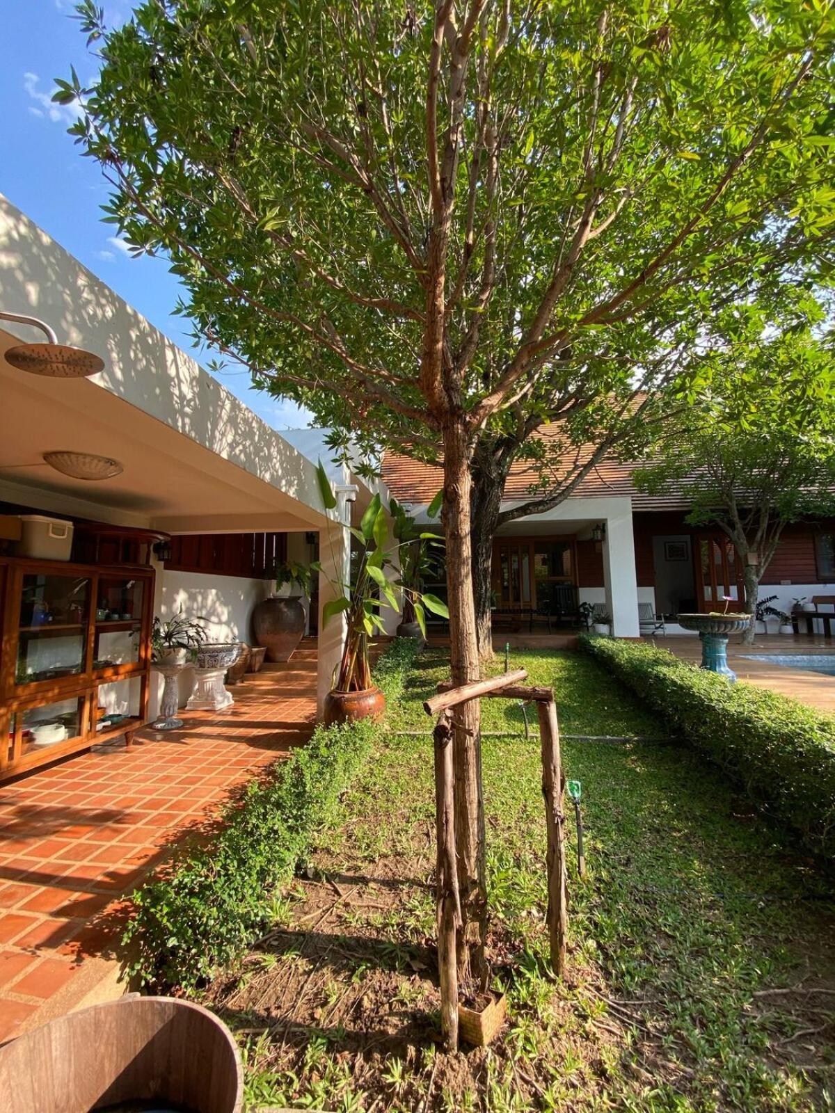 Whisper Oasis - Private Jacuzzi Pool Villa - 3BR, Sleeps 10 w Daily Housekeeping