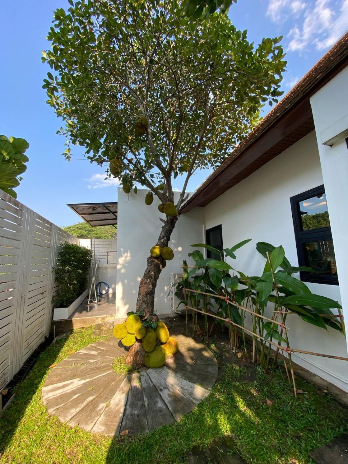 Whisper Oasis - Private Jacuzzi Pool Villa - 3BR, Sleeps 10 w Daily Housekeeping