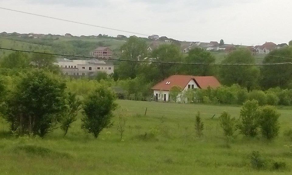 Photo 41