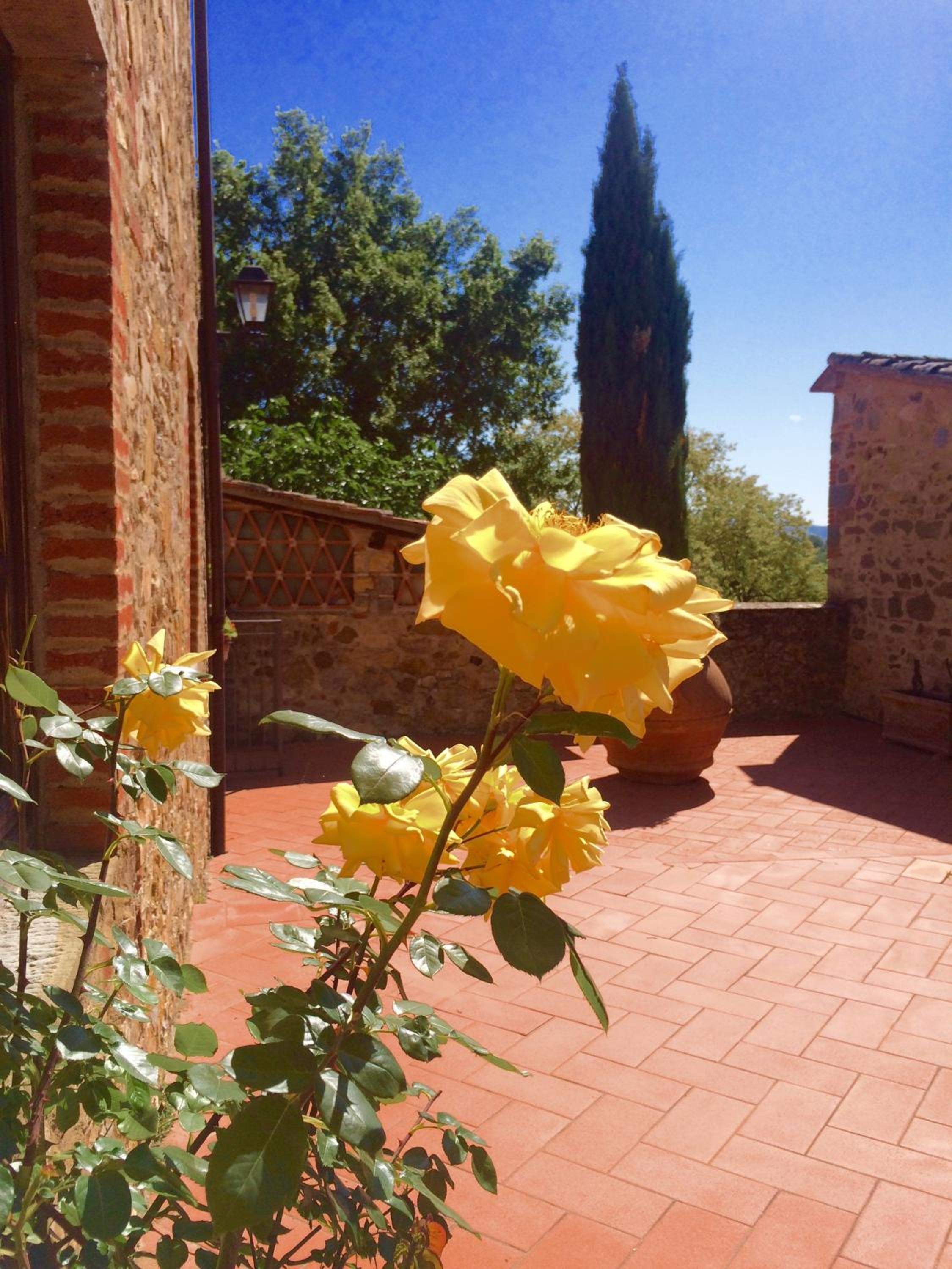 Tenuta Lupinari