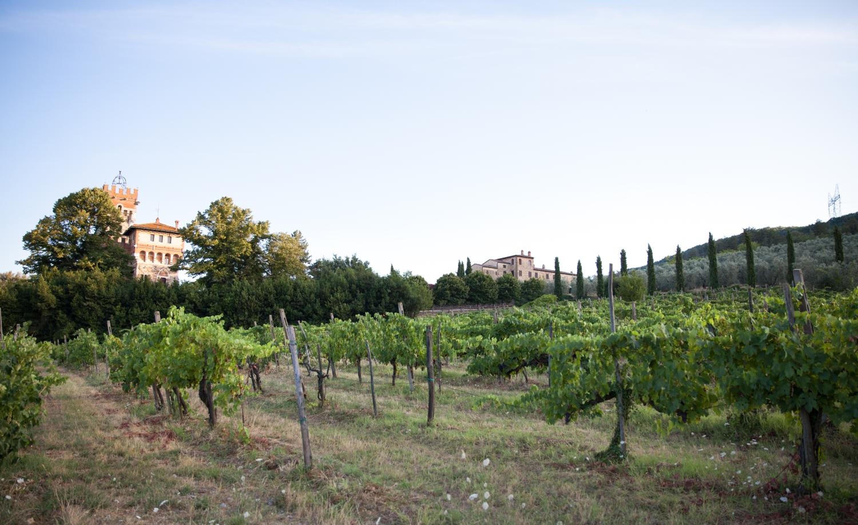 Tenuta Lupinari
