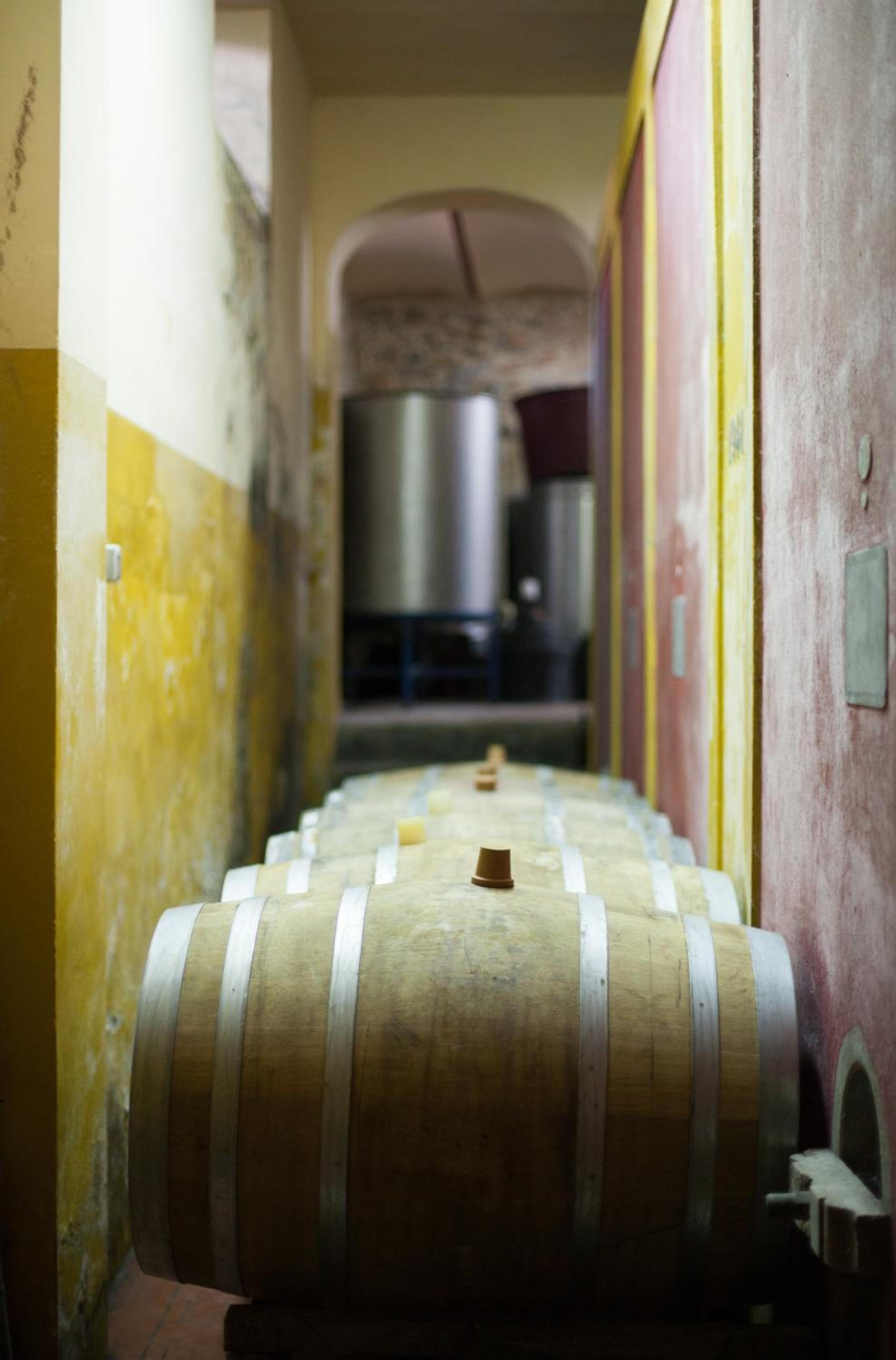 Tenuta Lupinari