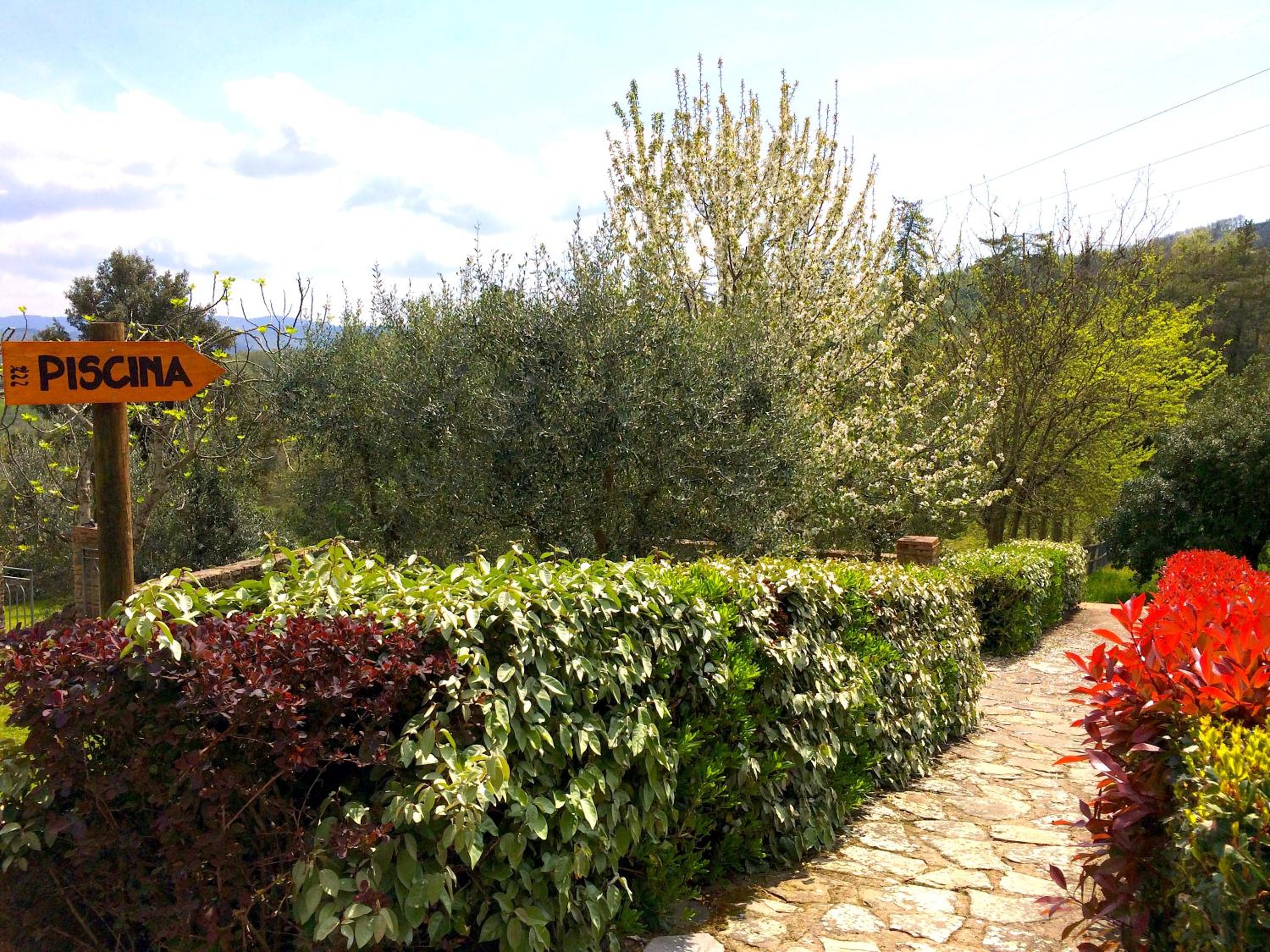 Tenuta Lupinari