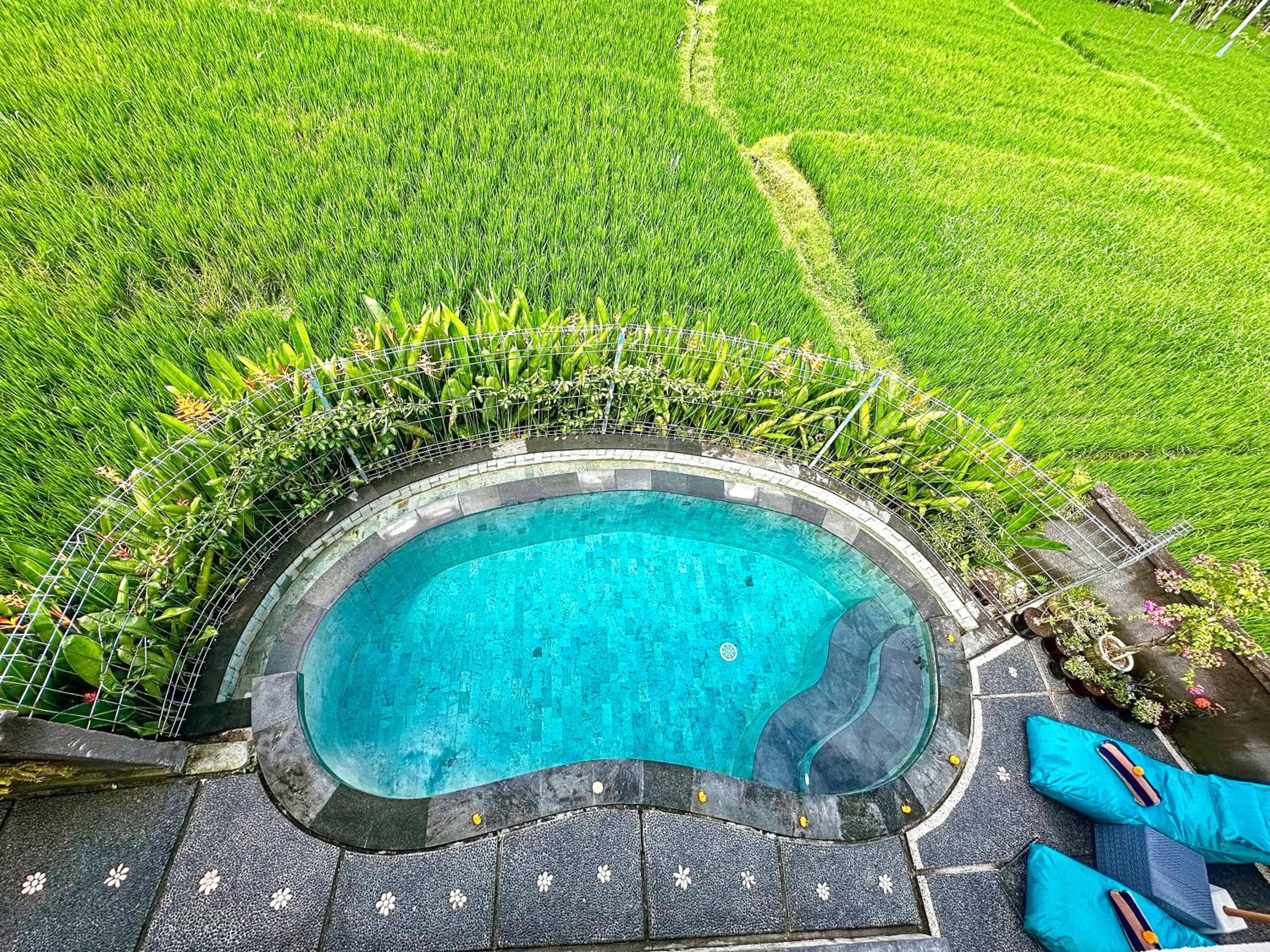 Romantic Villa in Ubud Private Pooll and Rice Fields View