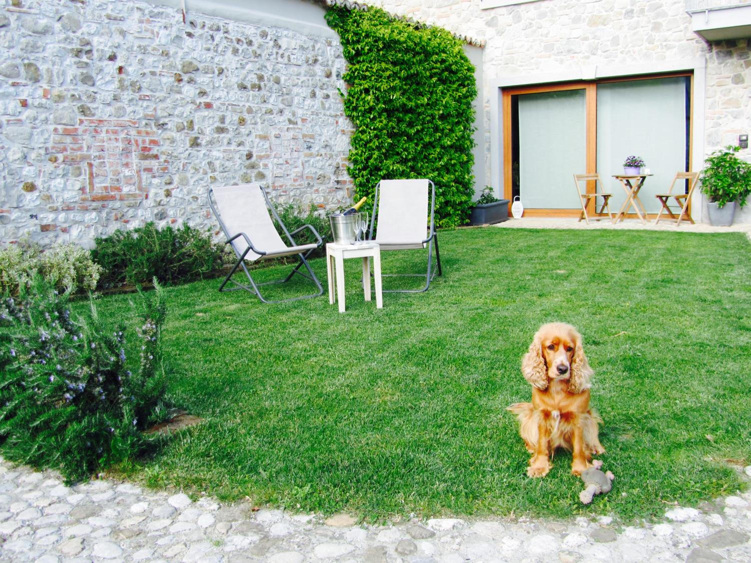 Alc&cE' alloggio agrituristico