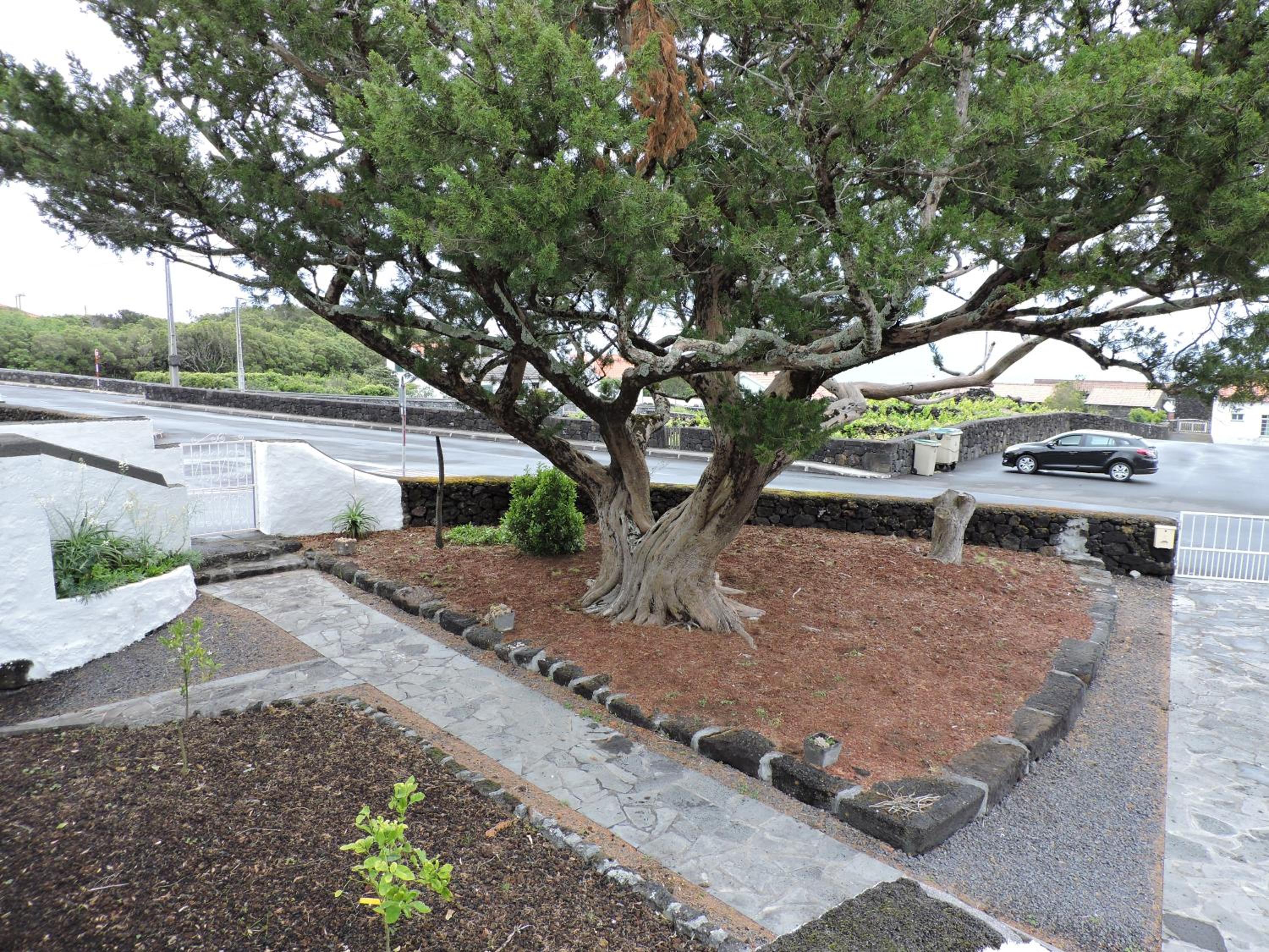 Photo 32