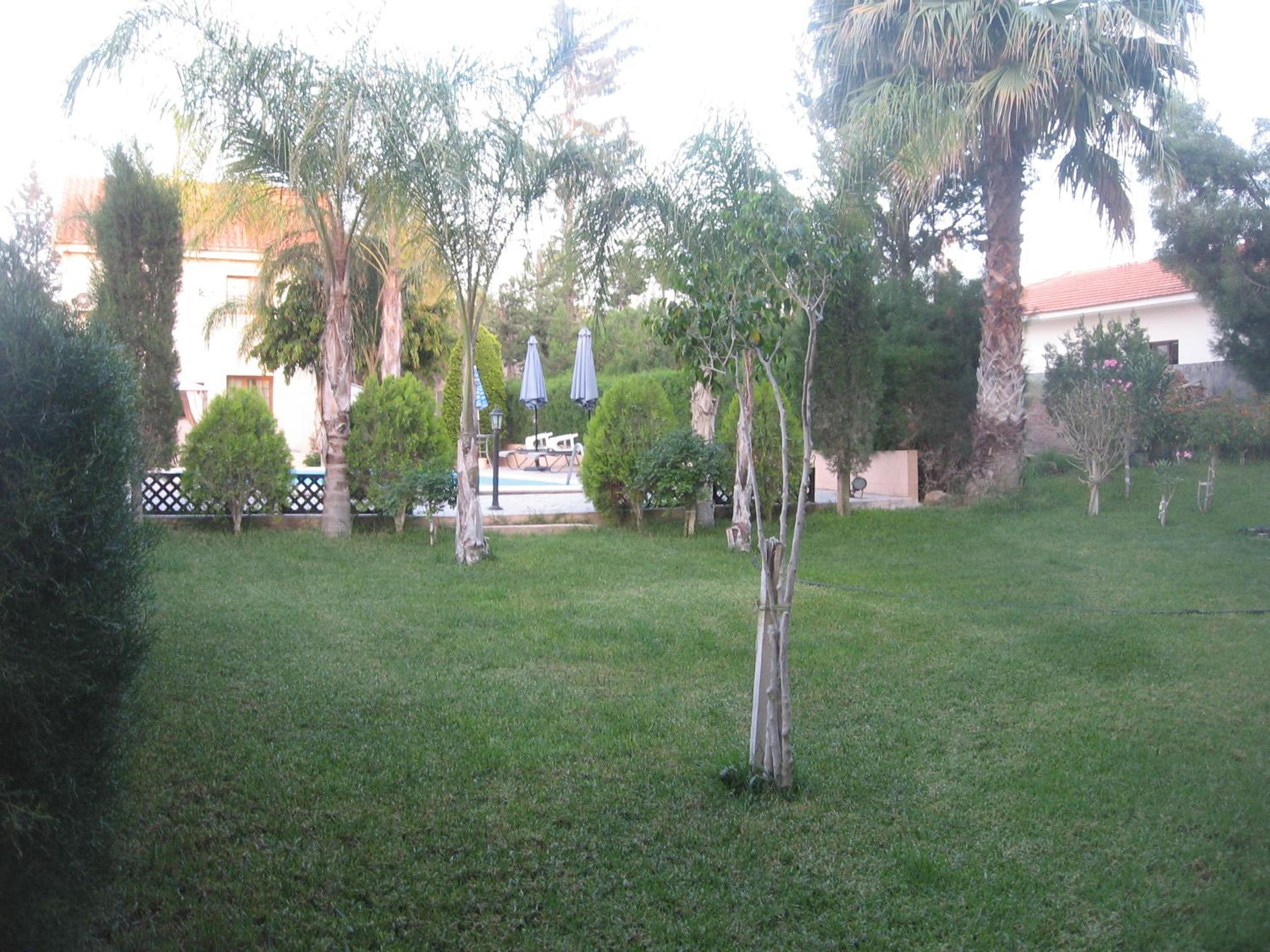 Photo 56