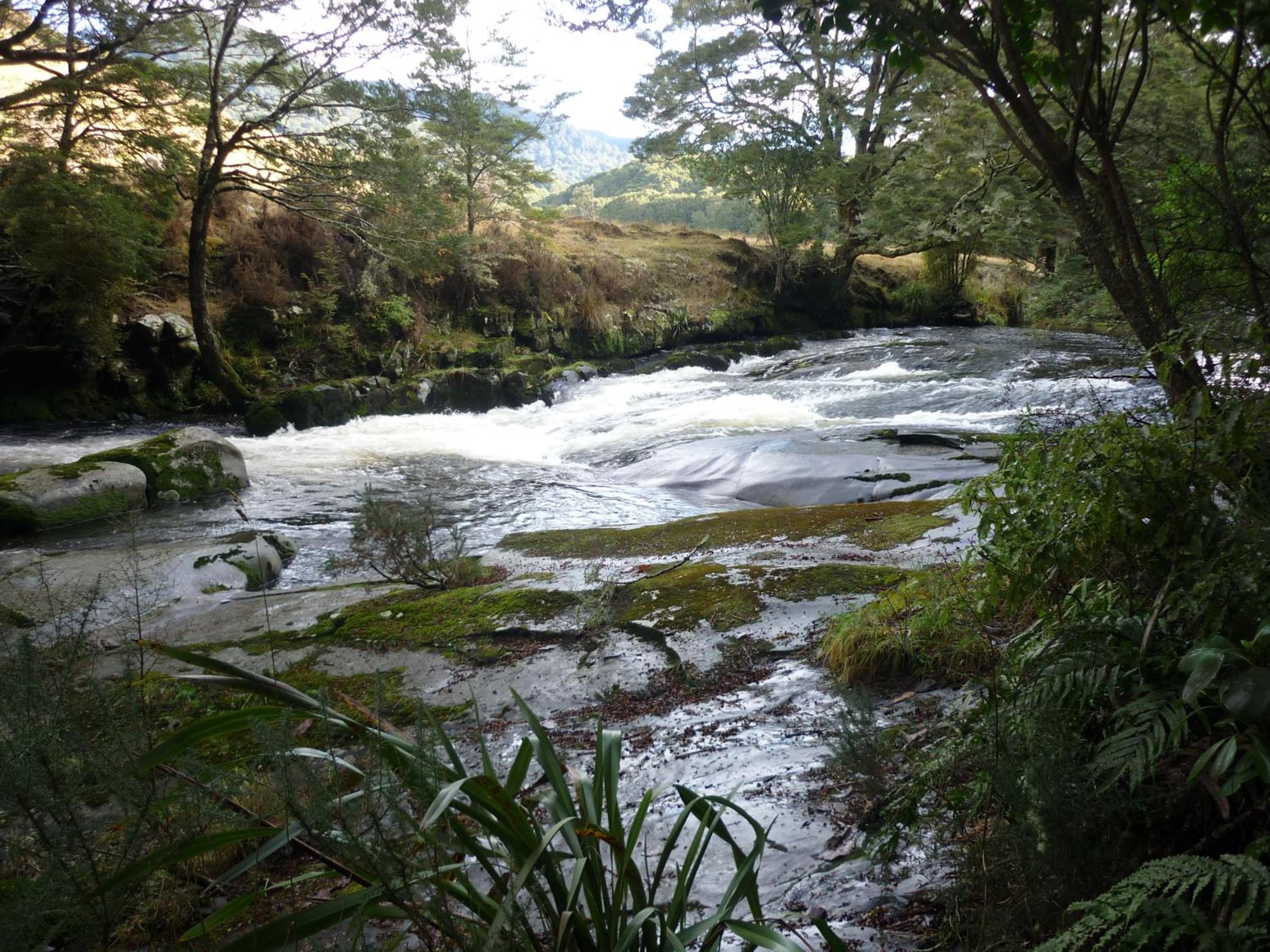 Photo 28
