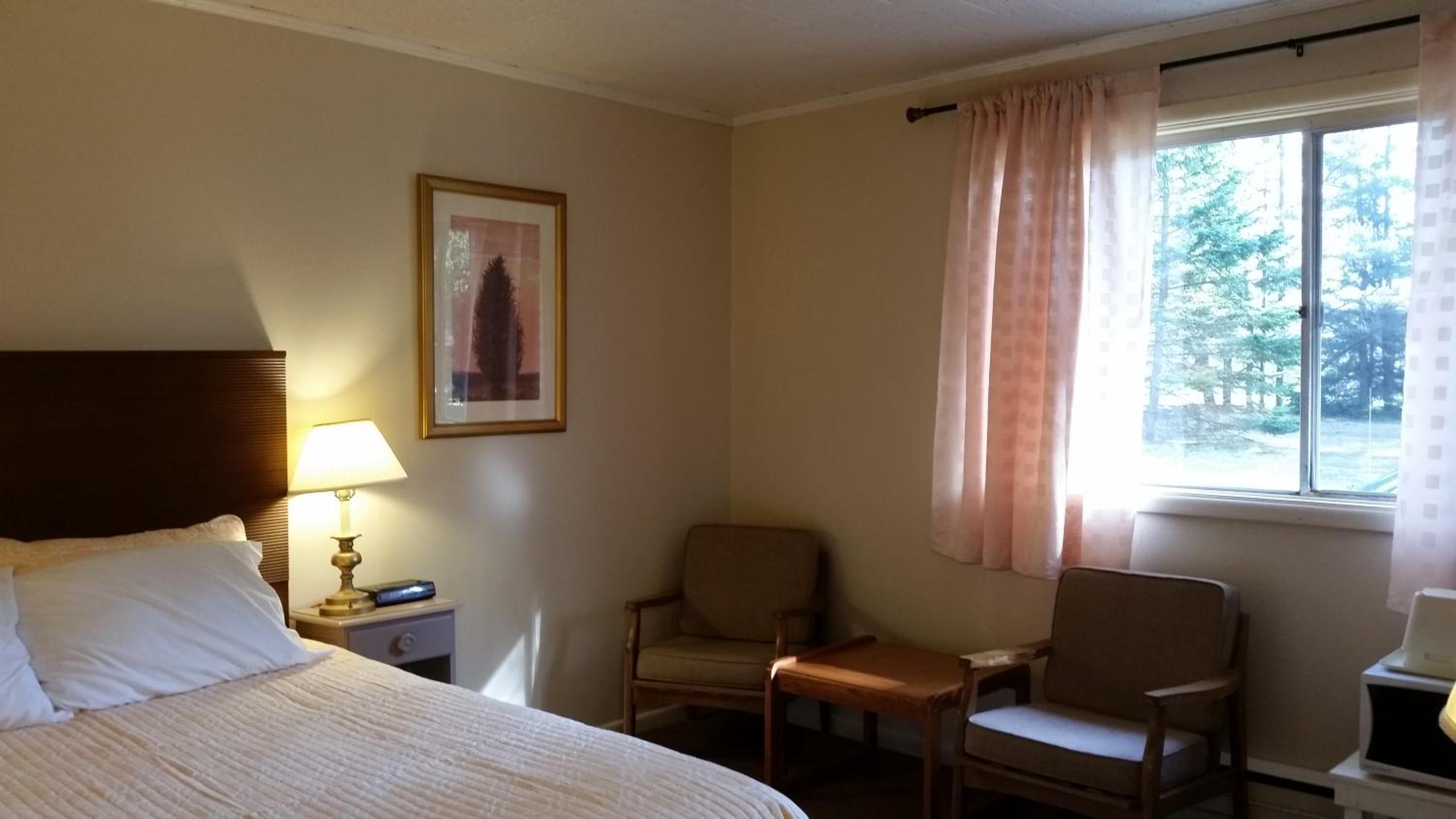 Pinecone Motel