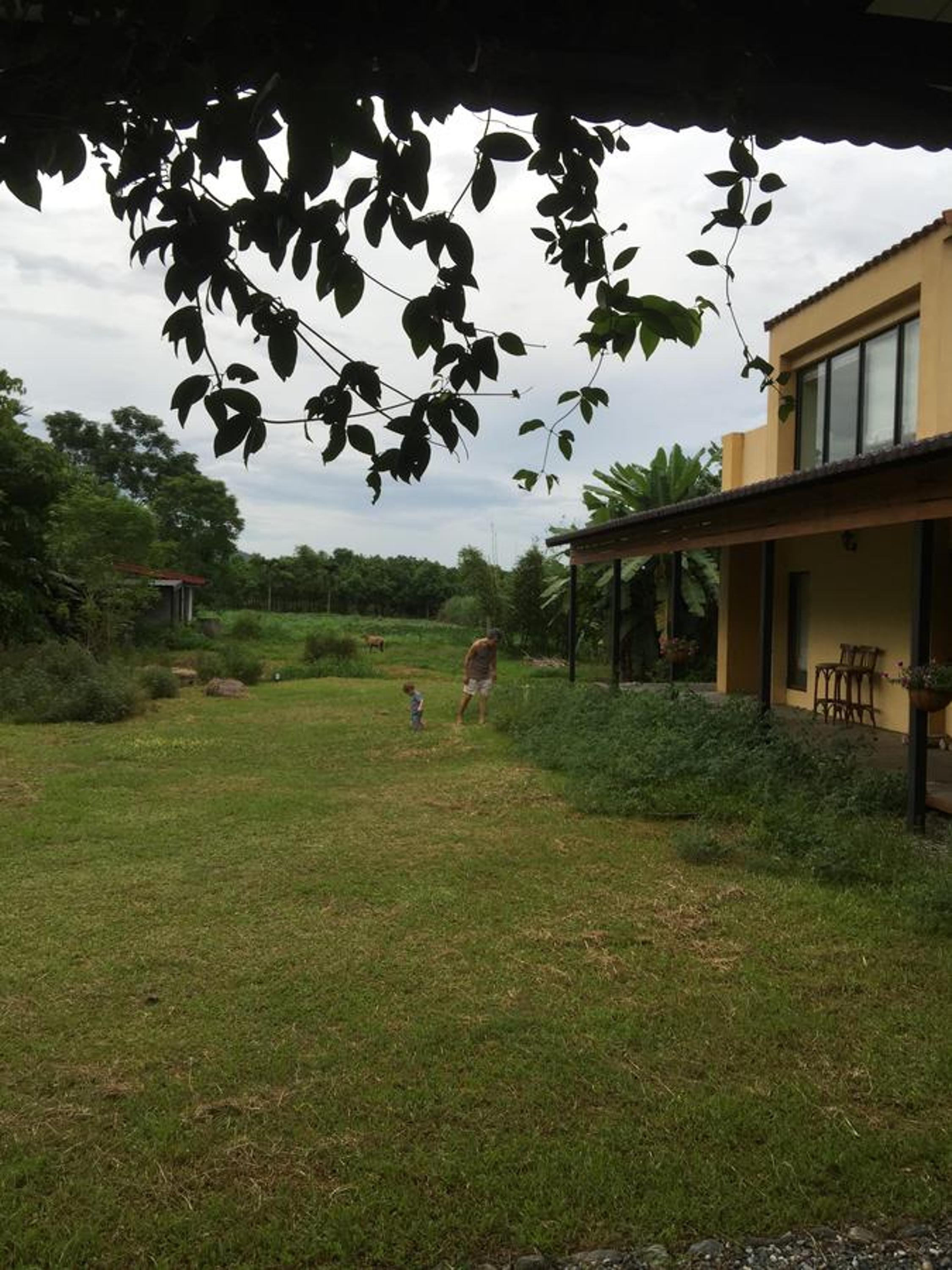 Photo 21