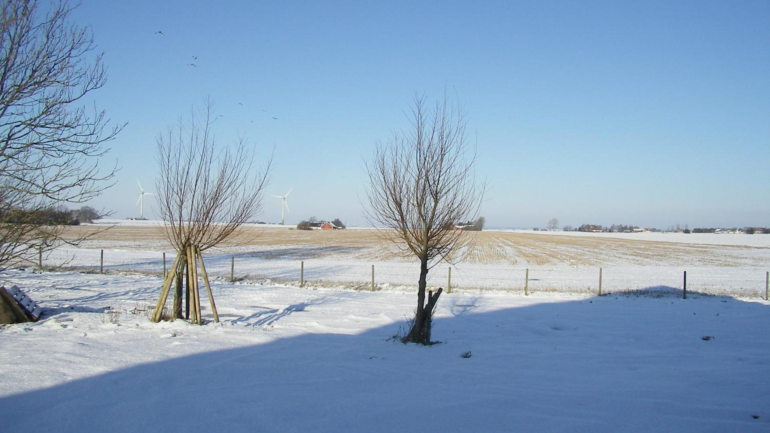 Hobykrok B&B