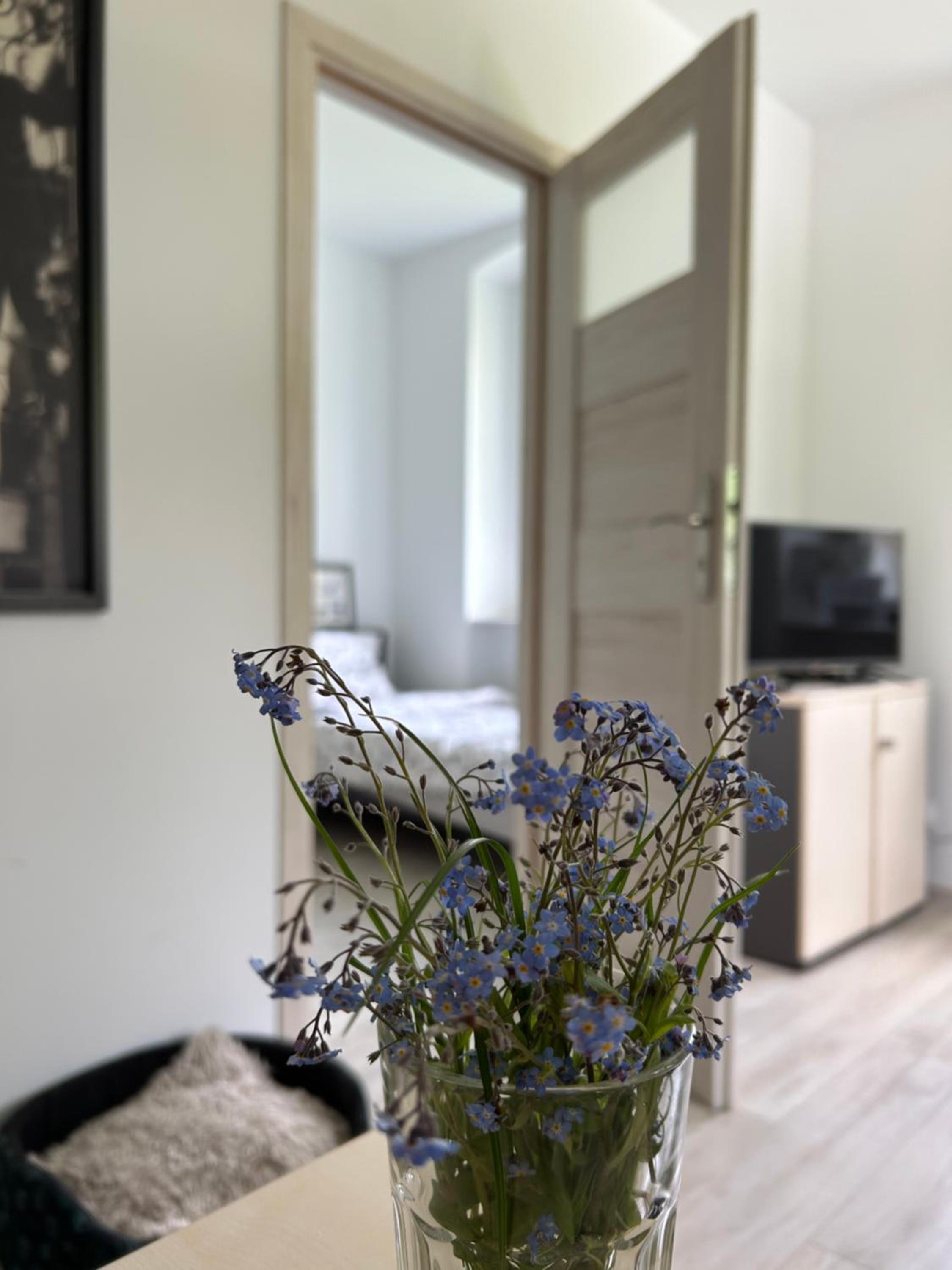 Apartament Jedlinka, photo 5