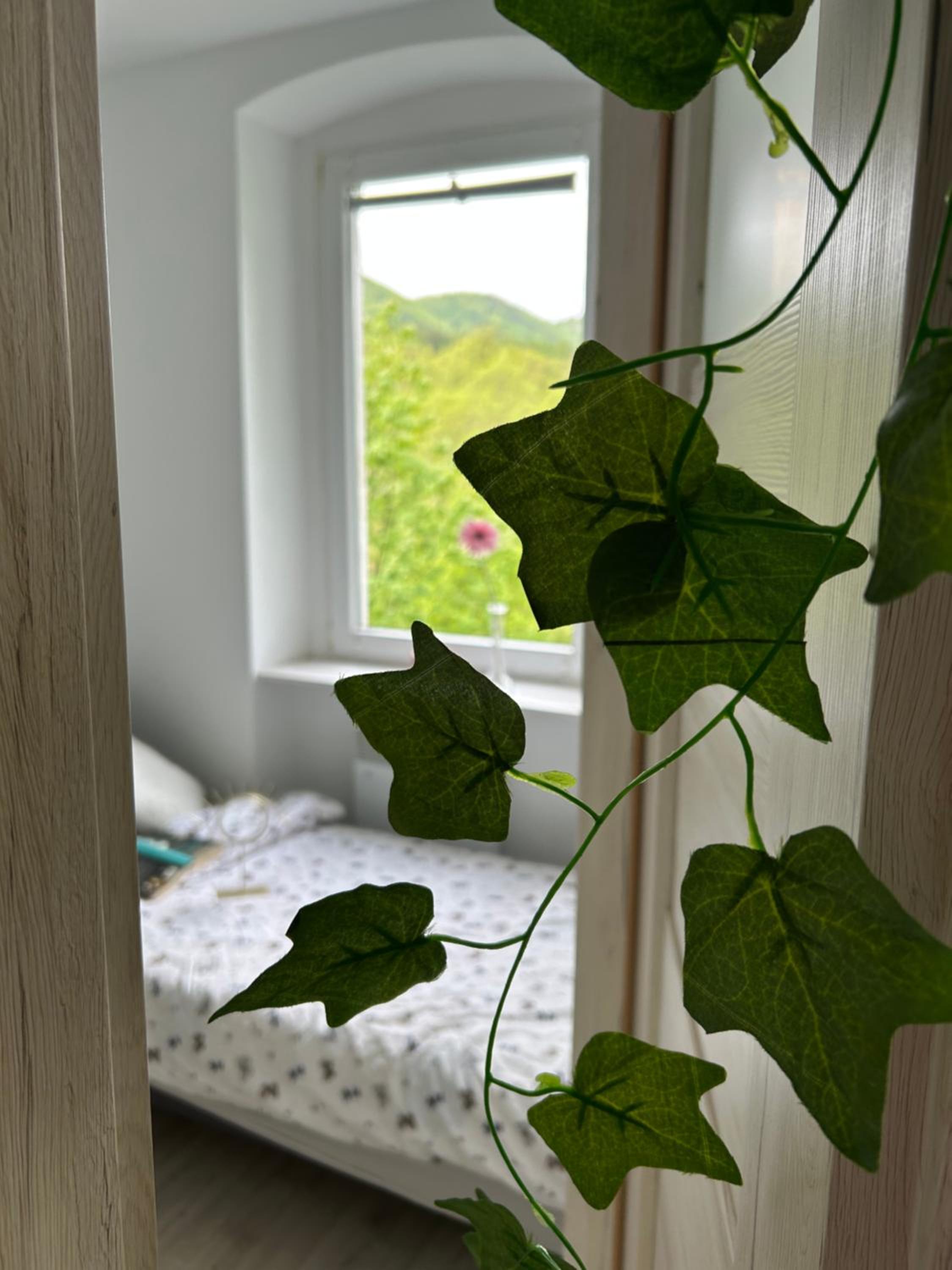 Apartament Jedlinka, photo 7