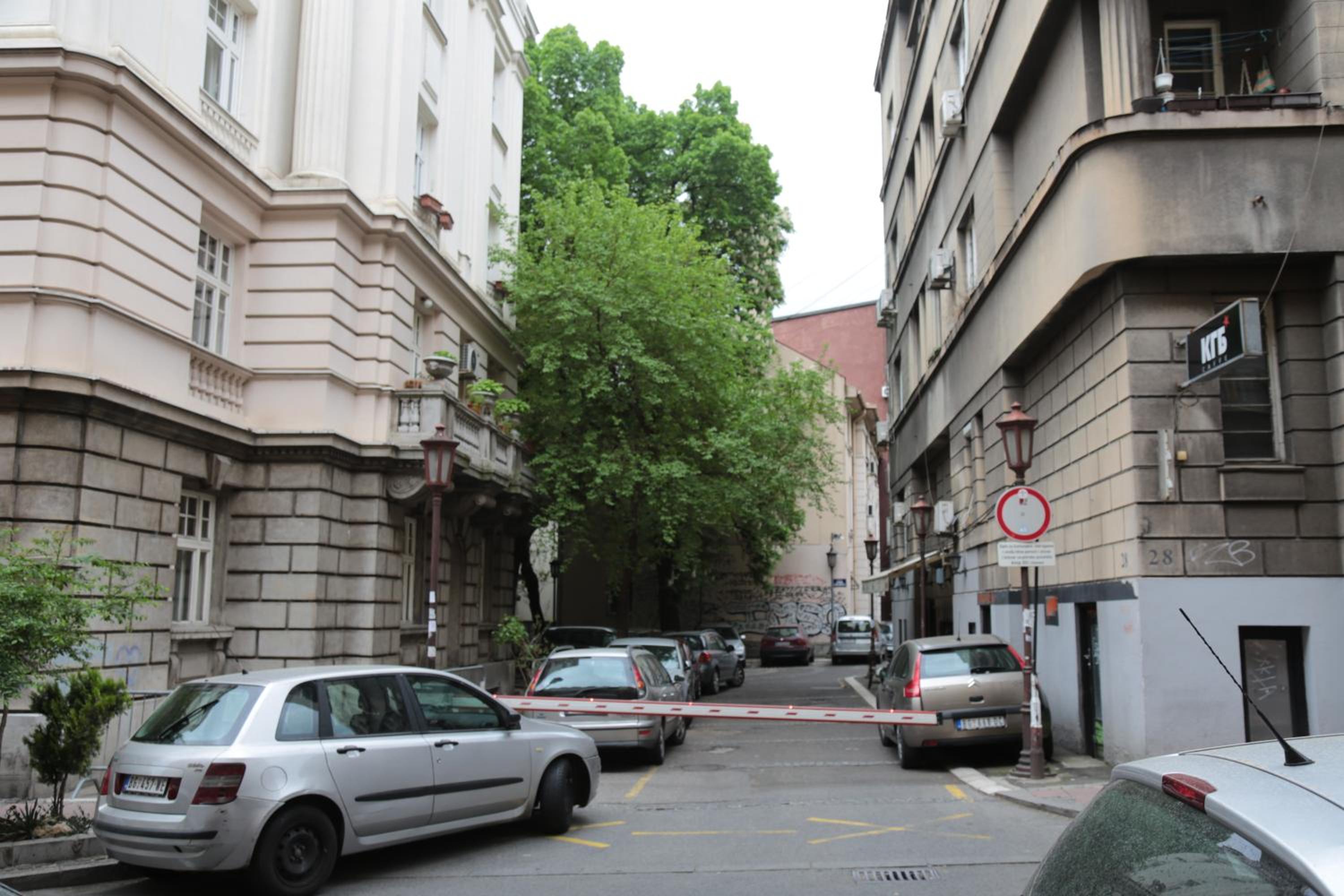 Photo 41