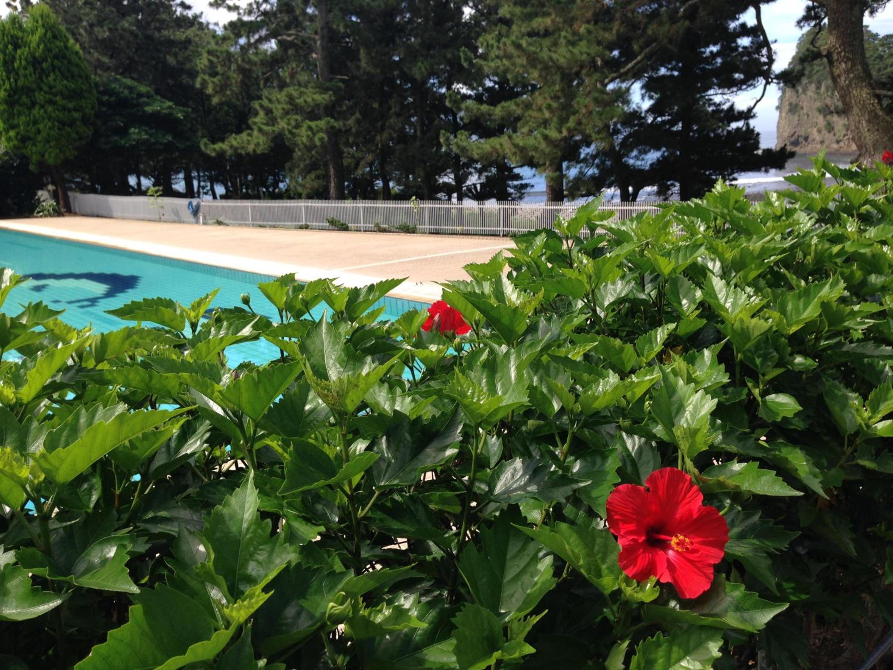 Dogashima Onsen Hotel