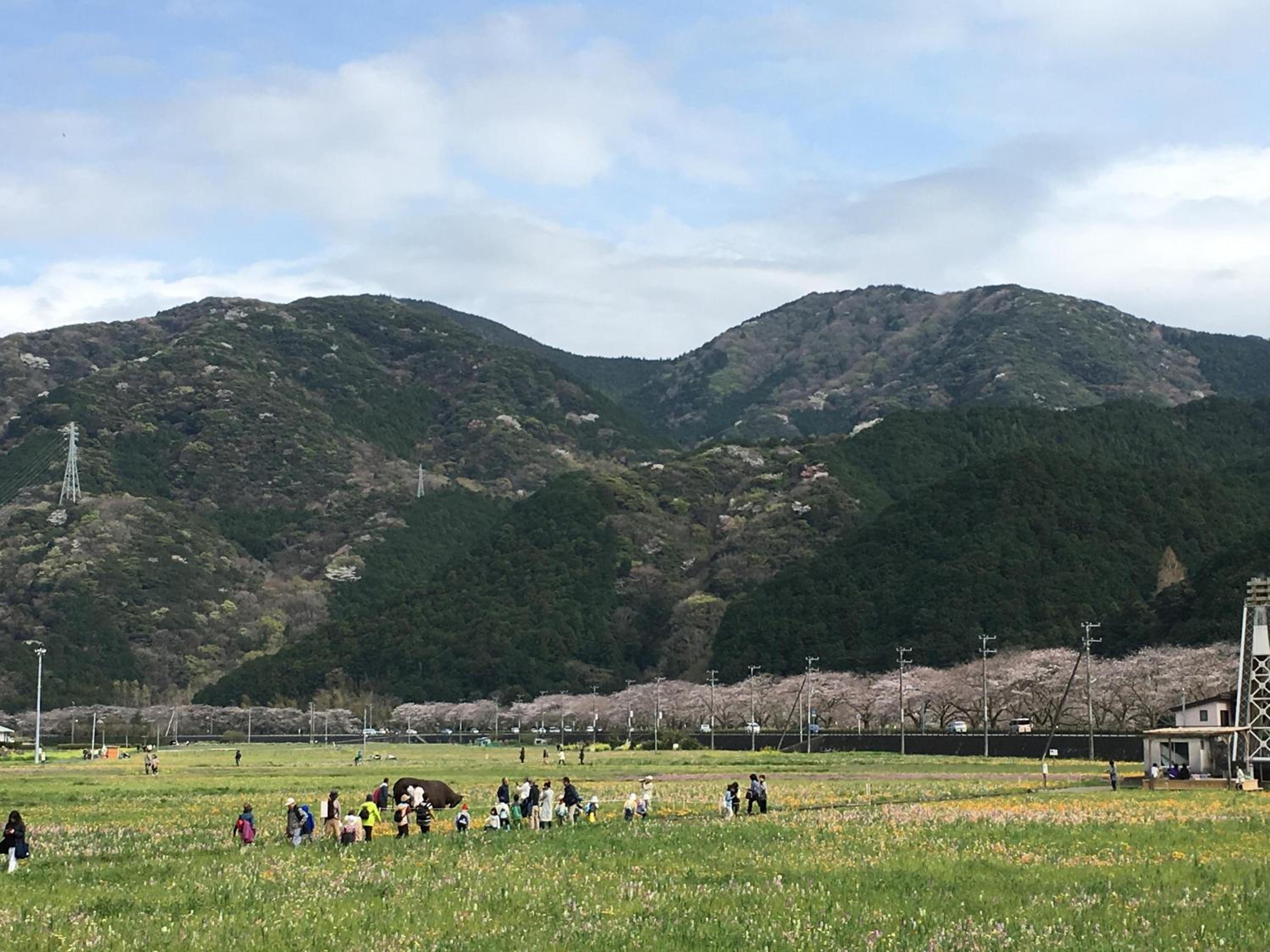 Dogashima Onsen Hotel