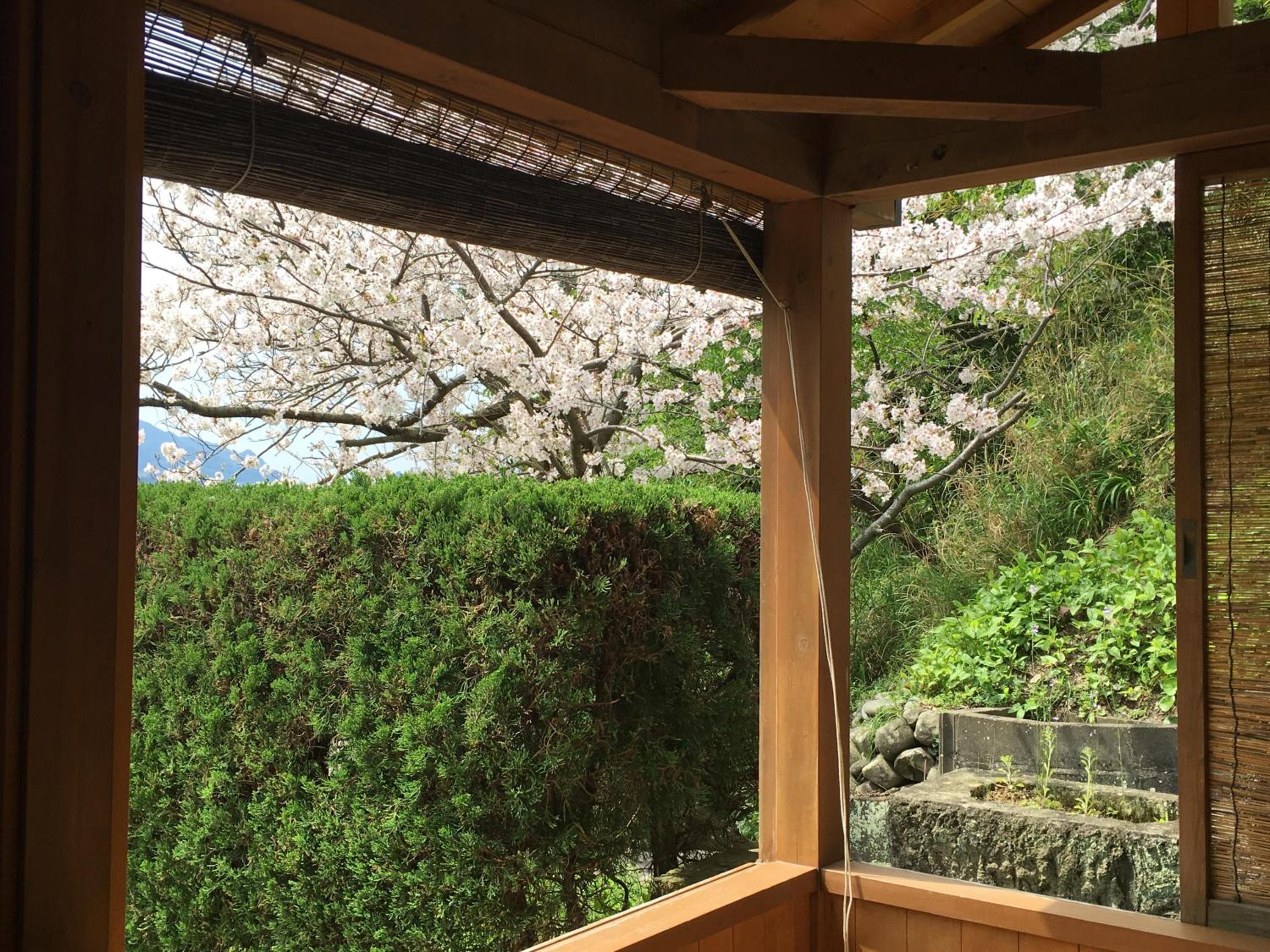 Dogashima Onsen Hotel