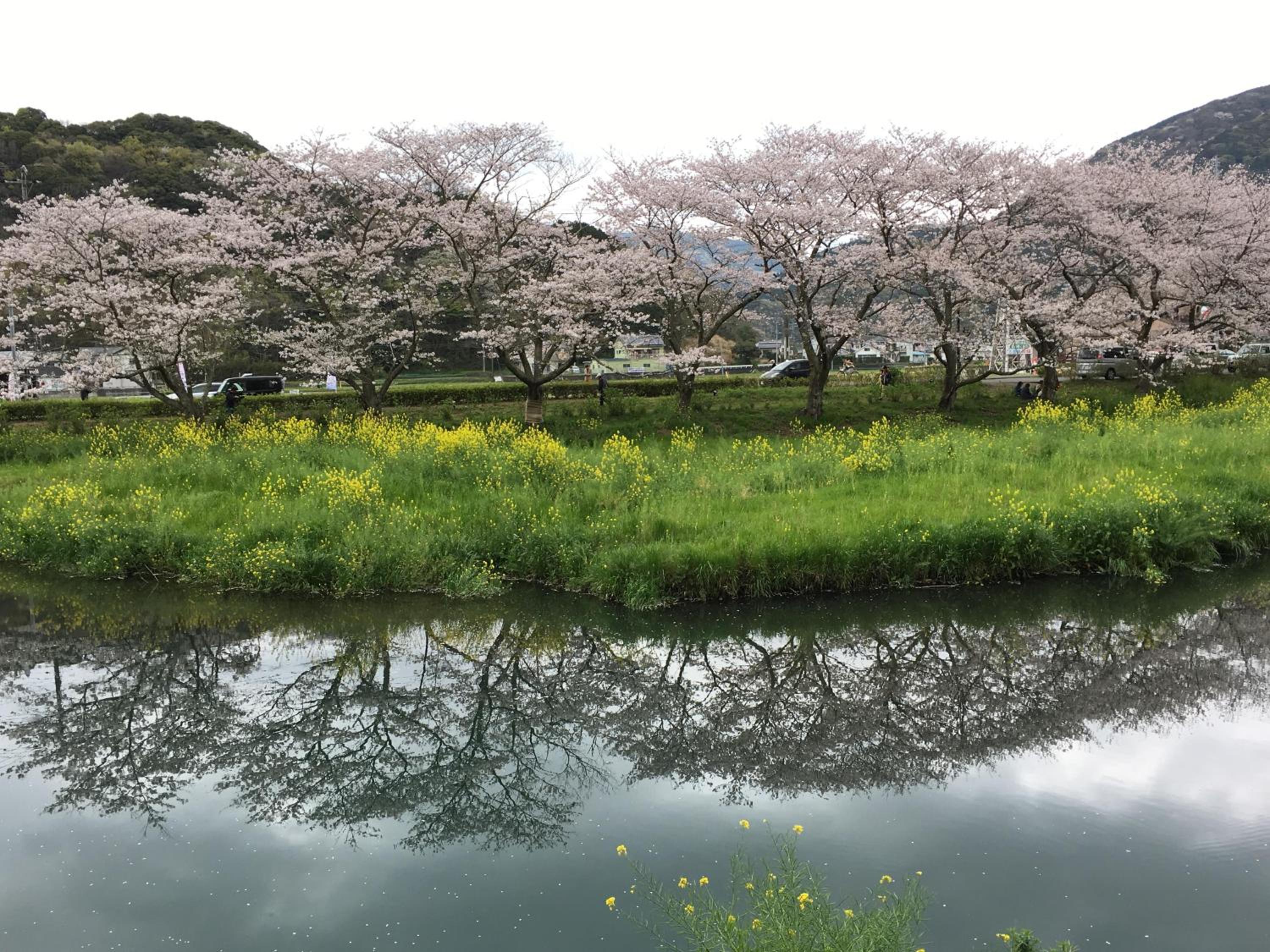 Dogashima Onsen Hotel