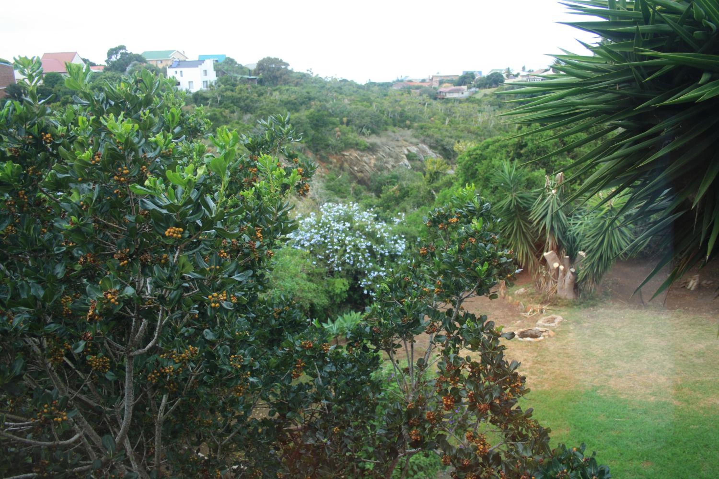 Dolphin View Guesthouse