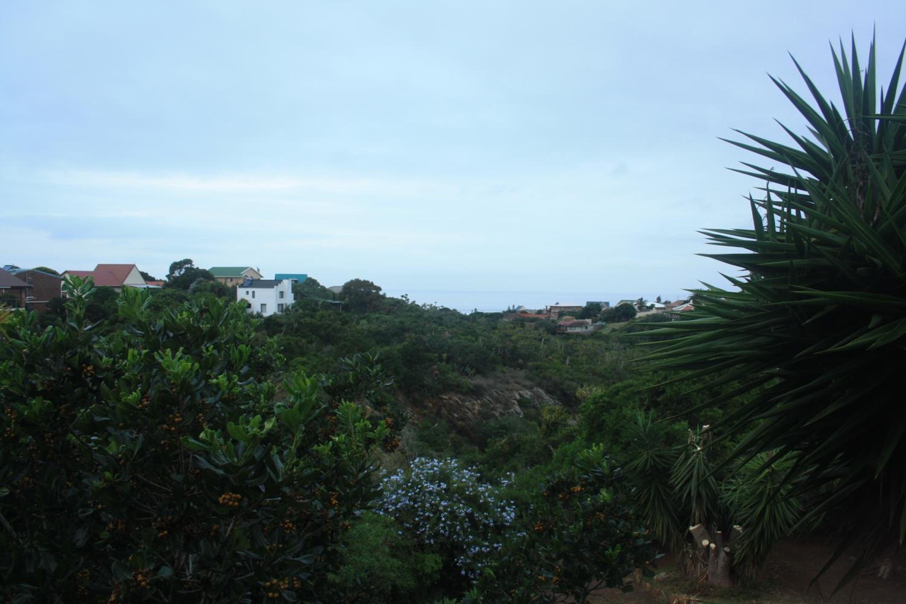 Dolphin View Guesthouse