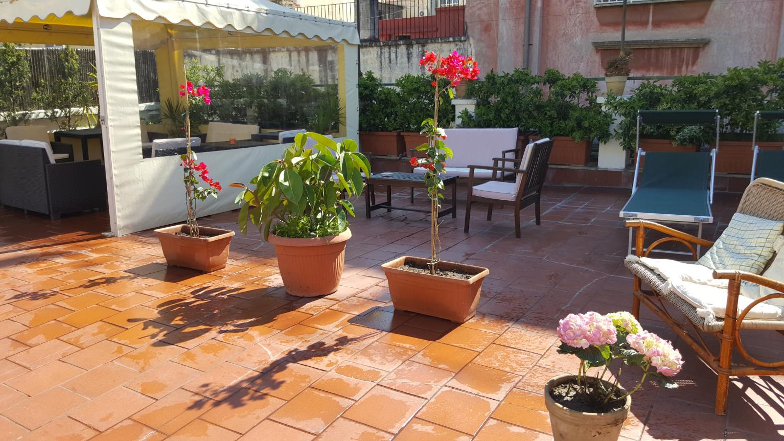 B&B Soriano44