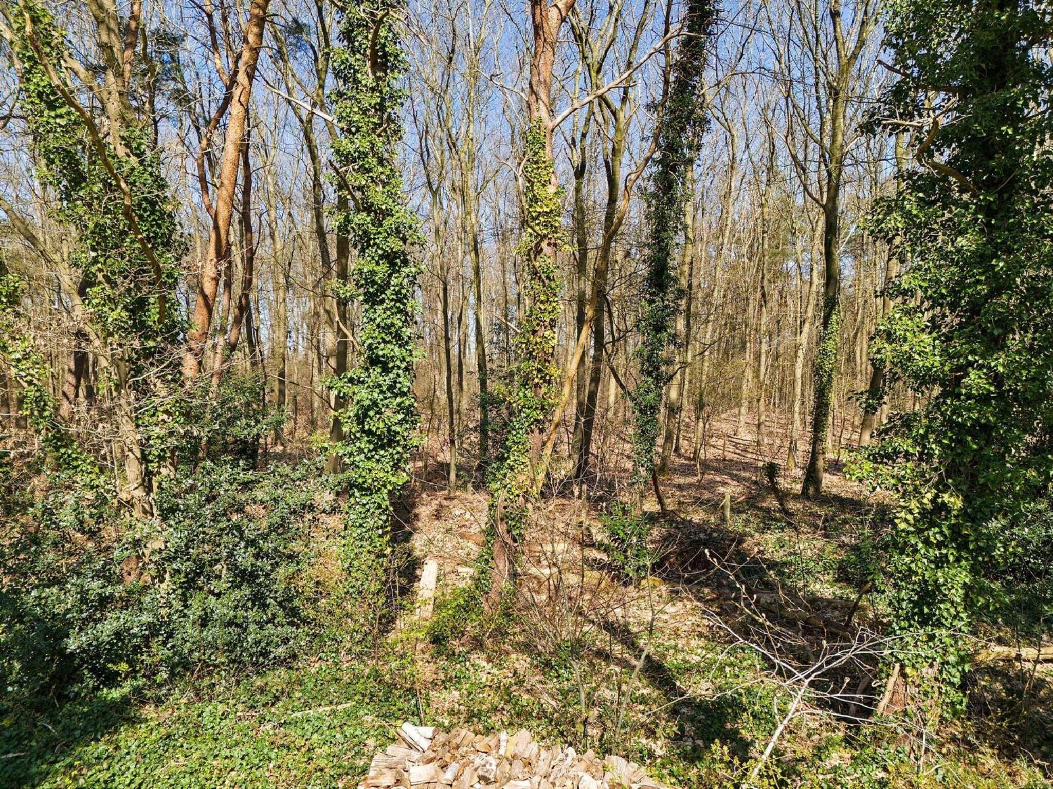 Bungalow in Drenthe near Forest & Lake