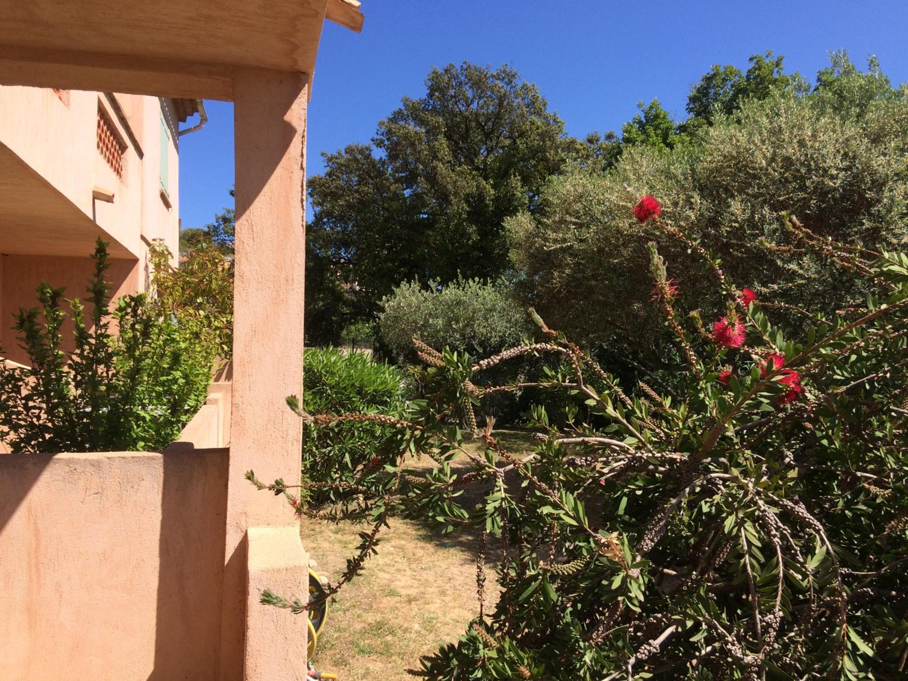Photo 15