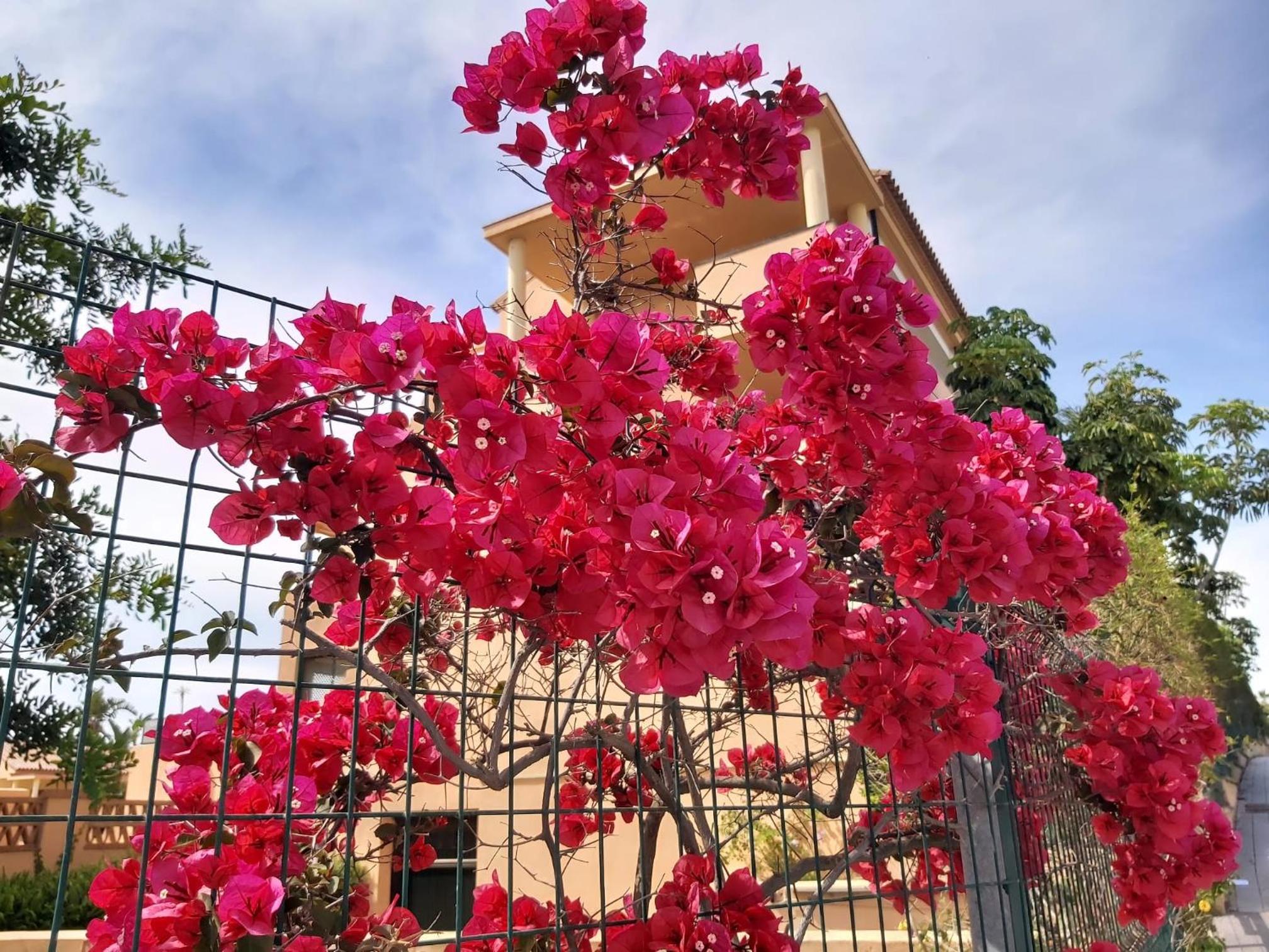 Garden apartment with incredible views in Casa Banderas La Cala de Mijas