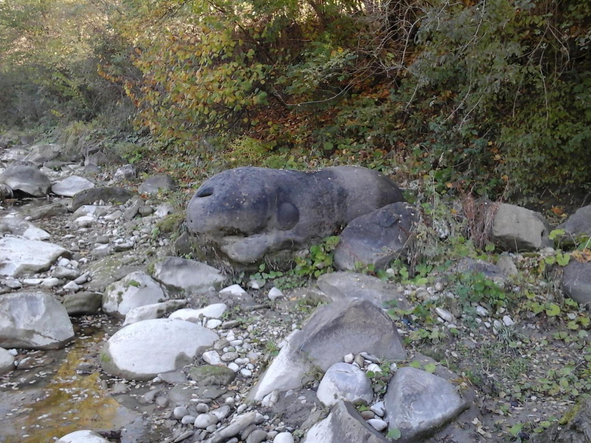 Photo 24