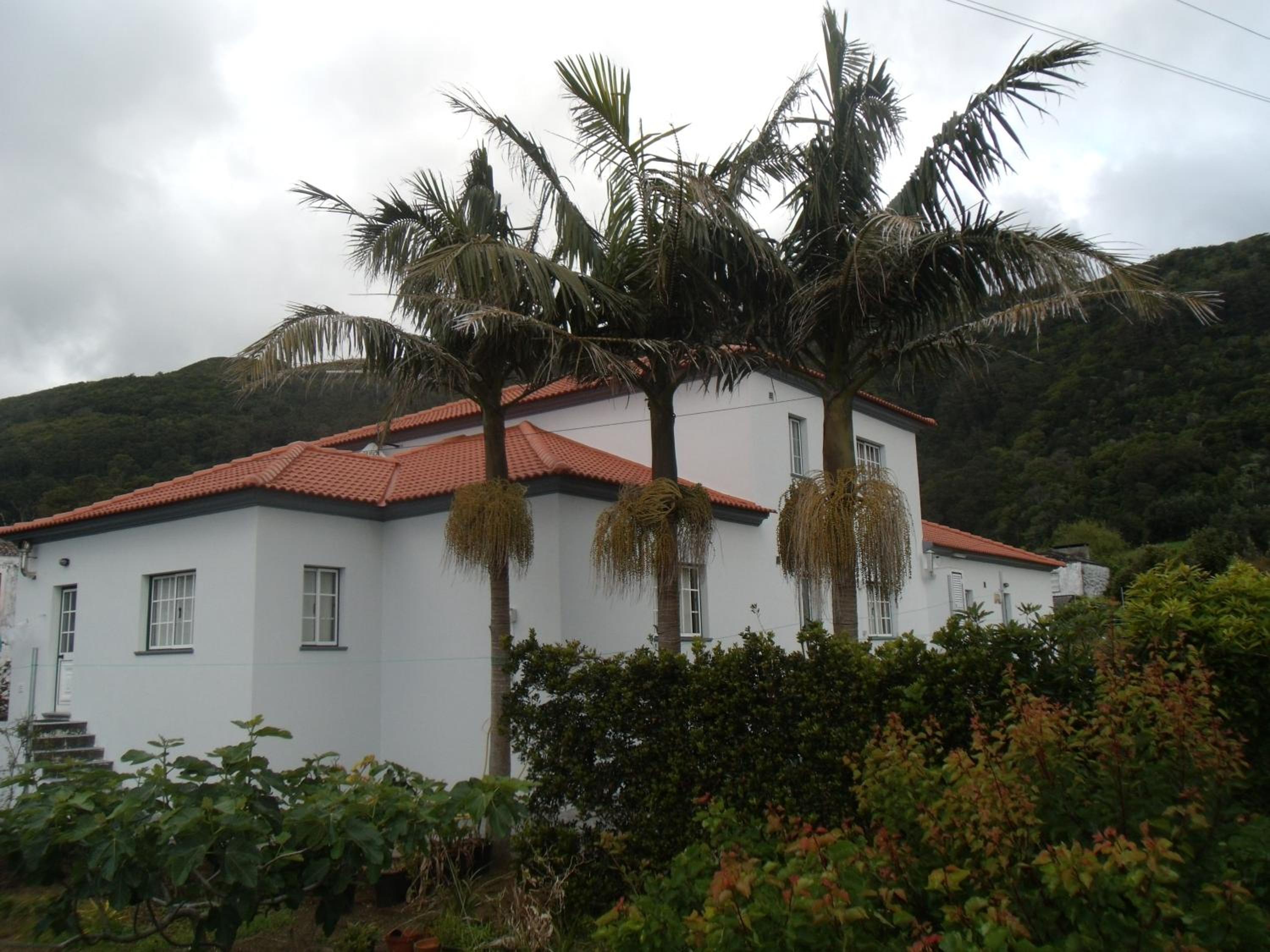 Tropical Fruit Garden view 5