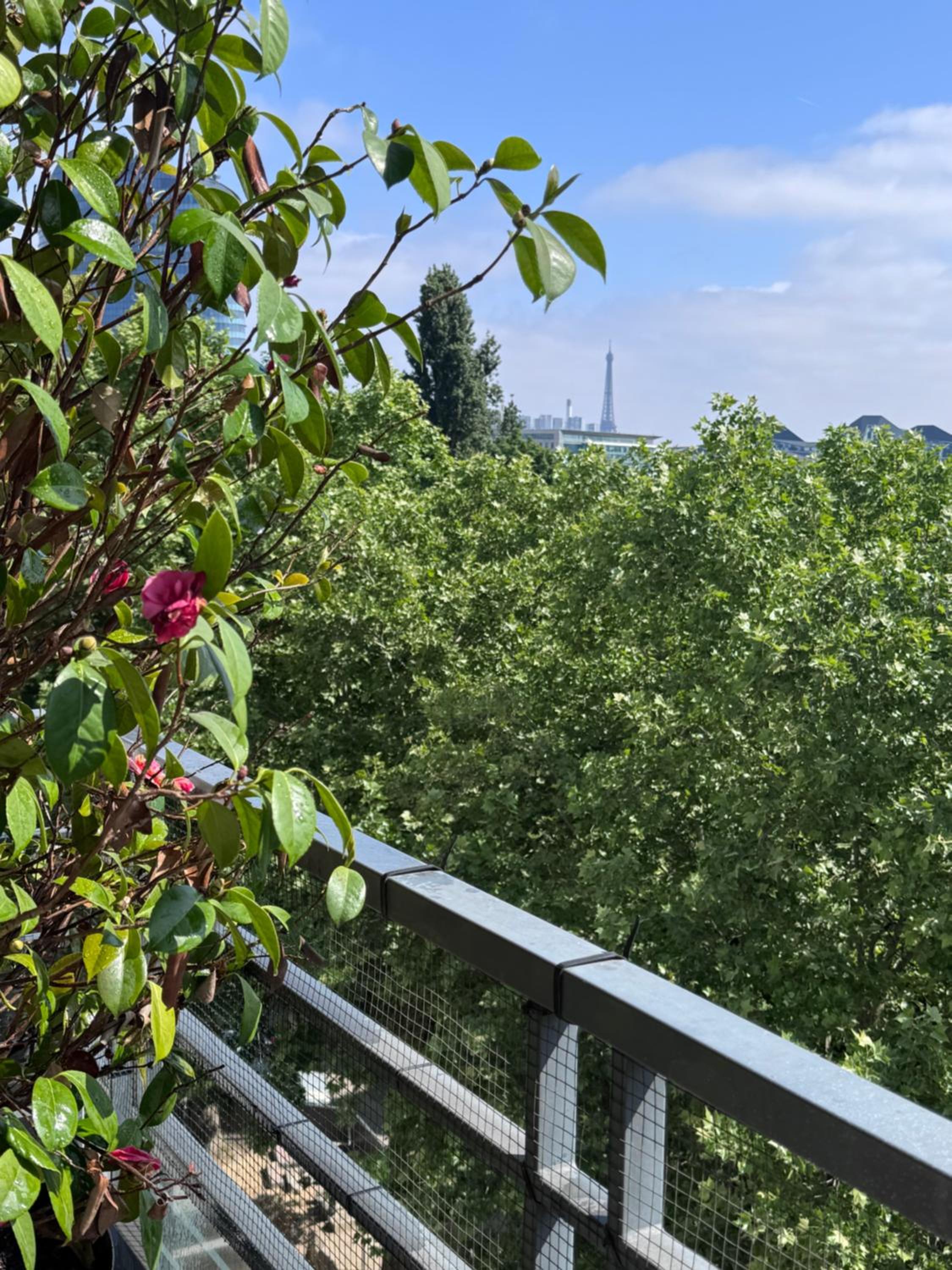 3 bedrooms with Tour Eiffel view