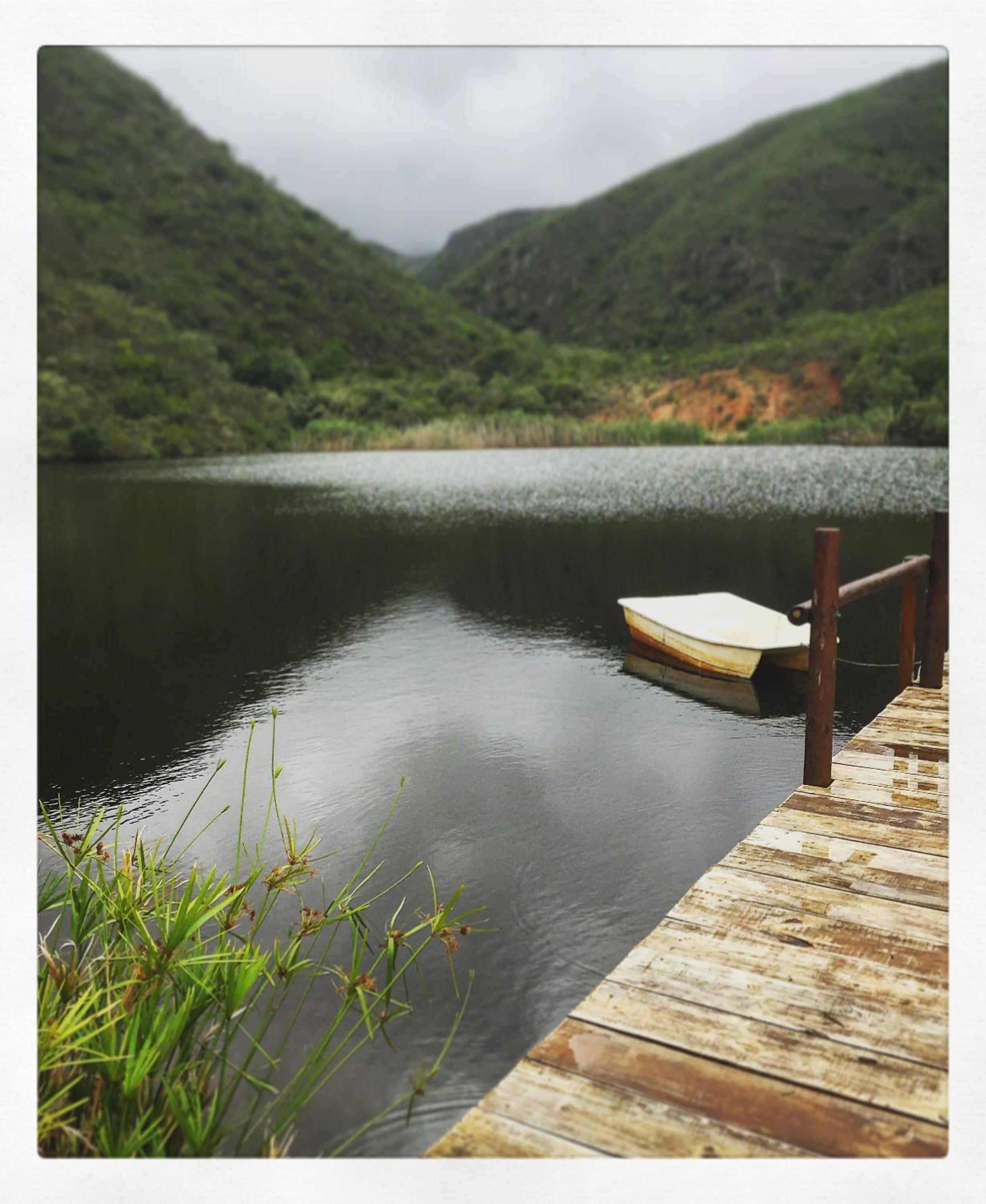 Pat Busch Mountain Reserve